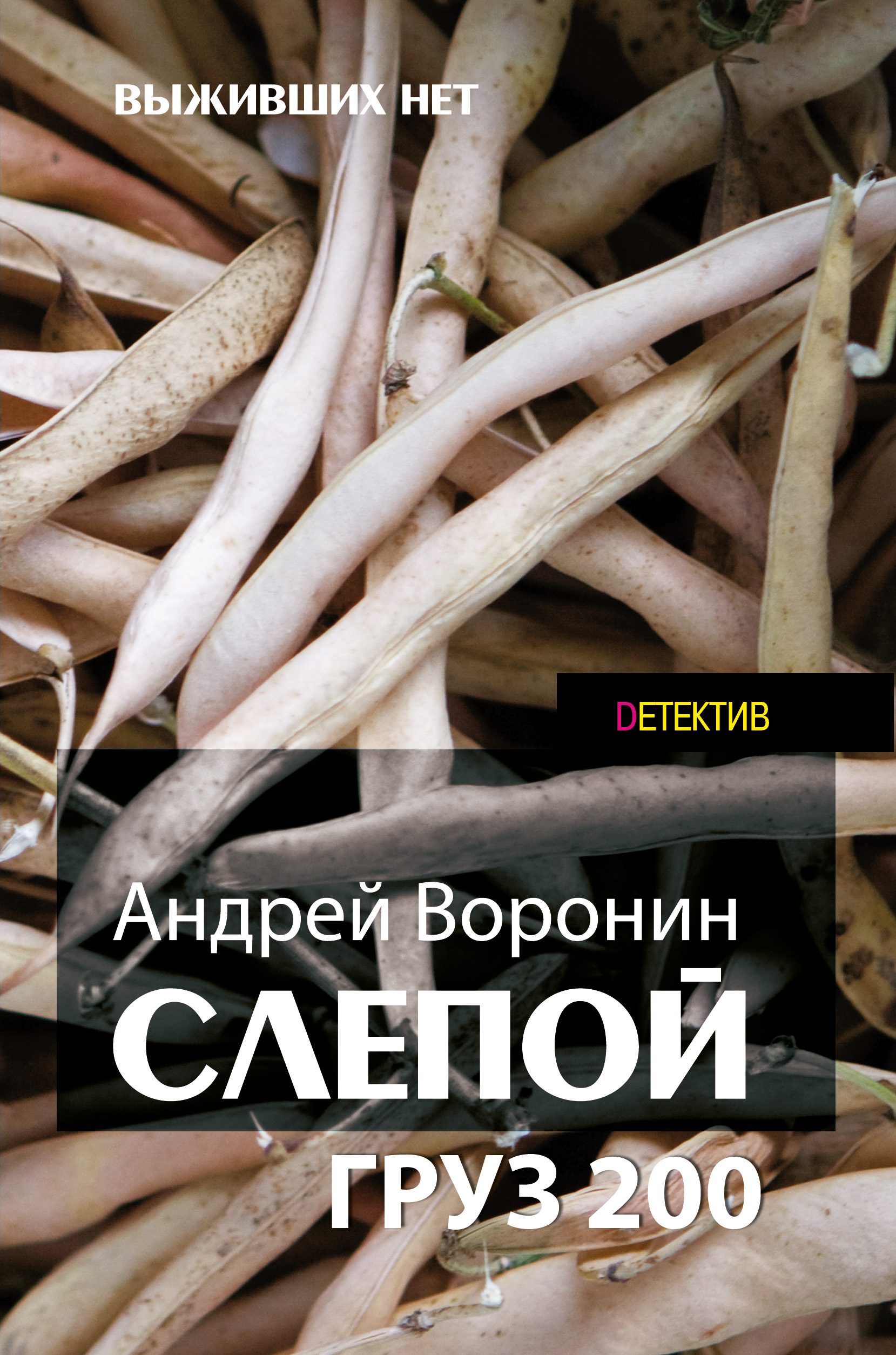 Читать онлайн «Слепой. Груз 200», Андрей Воронин – ЛитРес