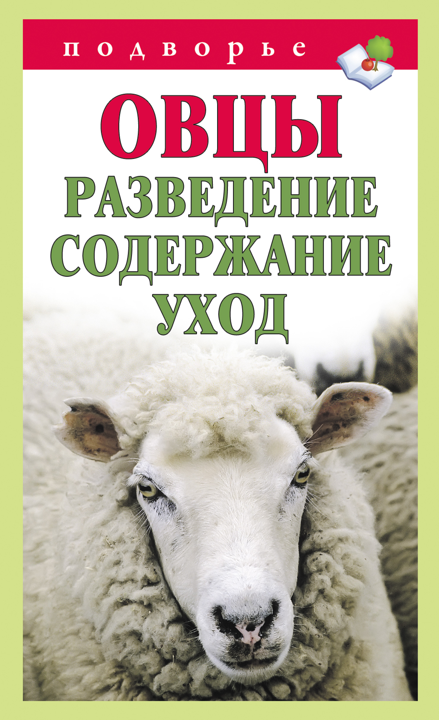 Бараны мороз. Книги по овцеводству. Овцеводство книга. Овца с книгой. Разведение овец книга.