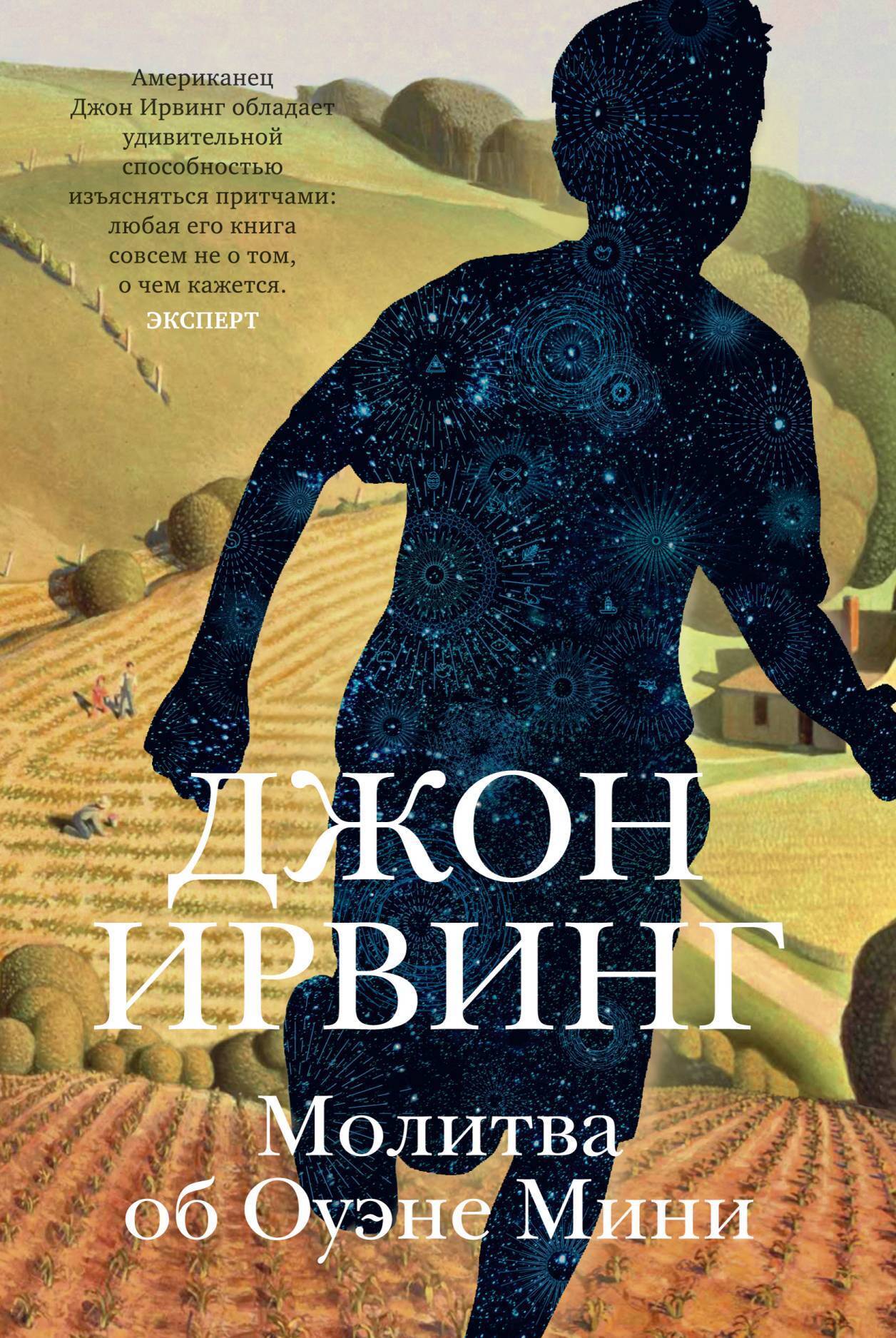 Дорога тайн, Джон Ирвинг – скачать книгу fb2, epub, pdf на ЛитРес