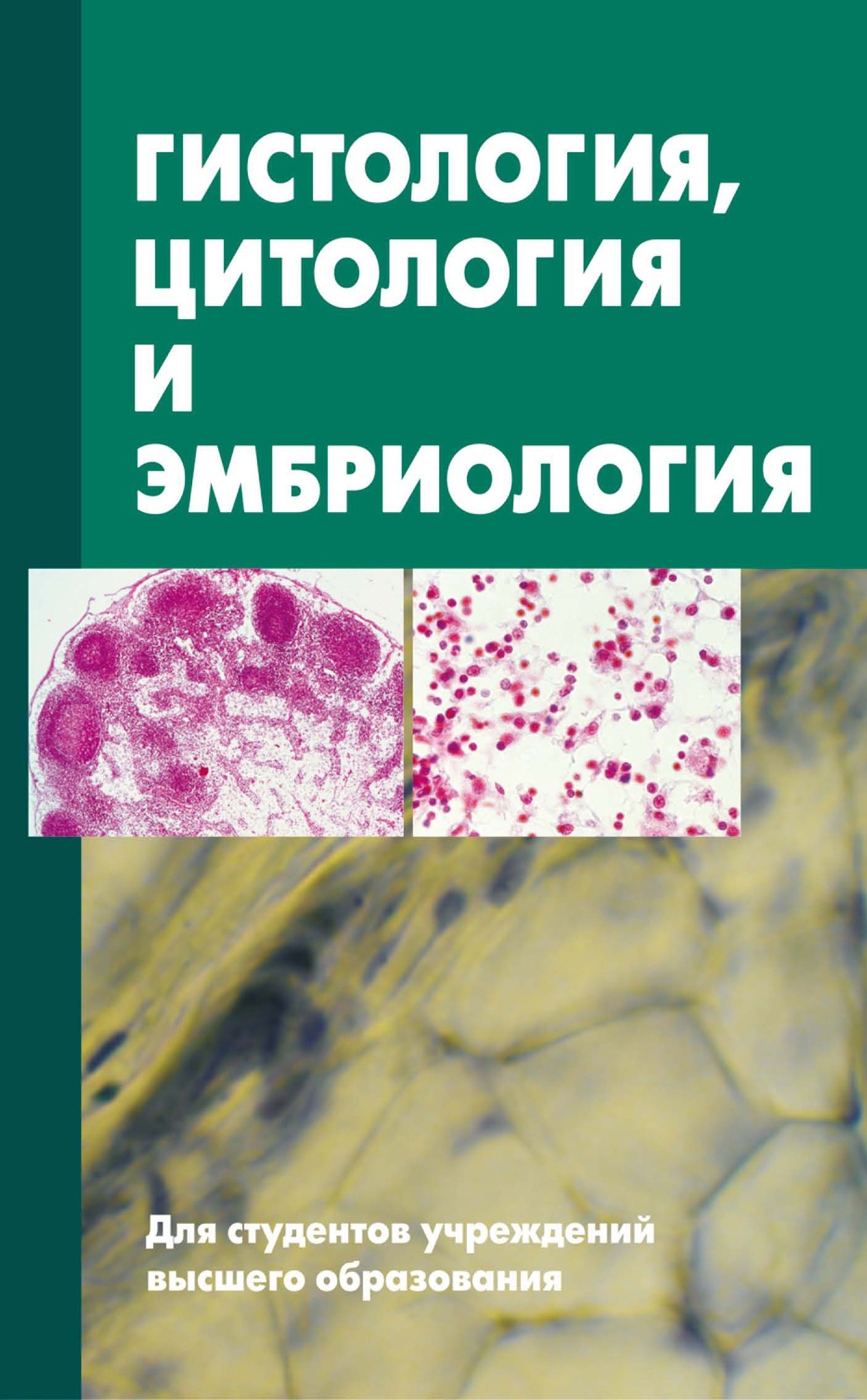 Гистология учебник. Яглов гистология. Зиматкин гистология учебник. Гистология, цитология и эмбриология Сергей Зиматкин книга. Гистология цитология эмбриология.