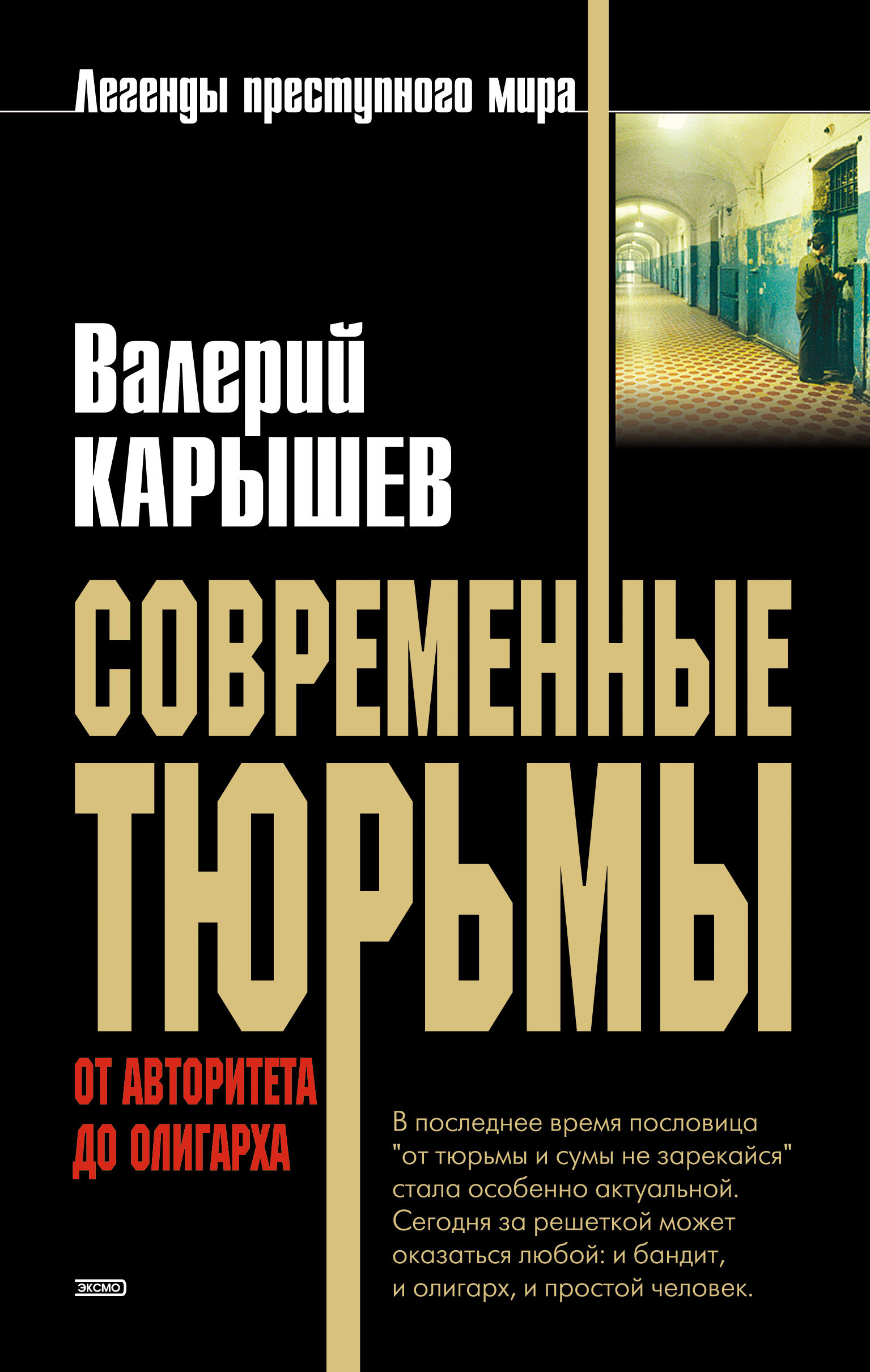 Читать онлайн «Воры в законе и авторитеты», Сергей Дышев – ЛитРес