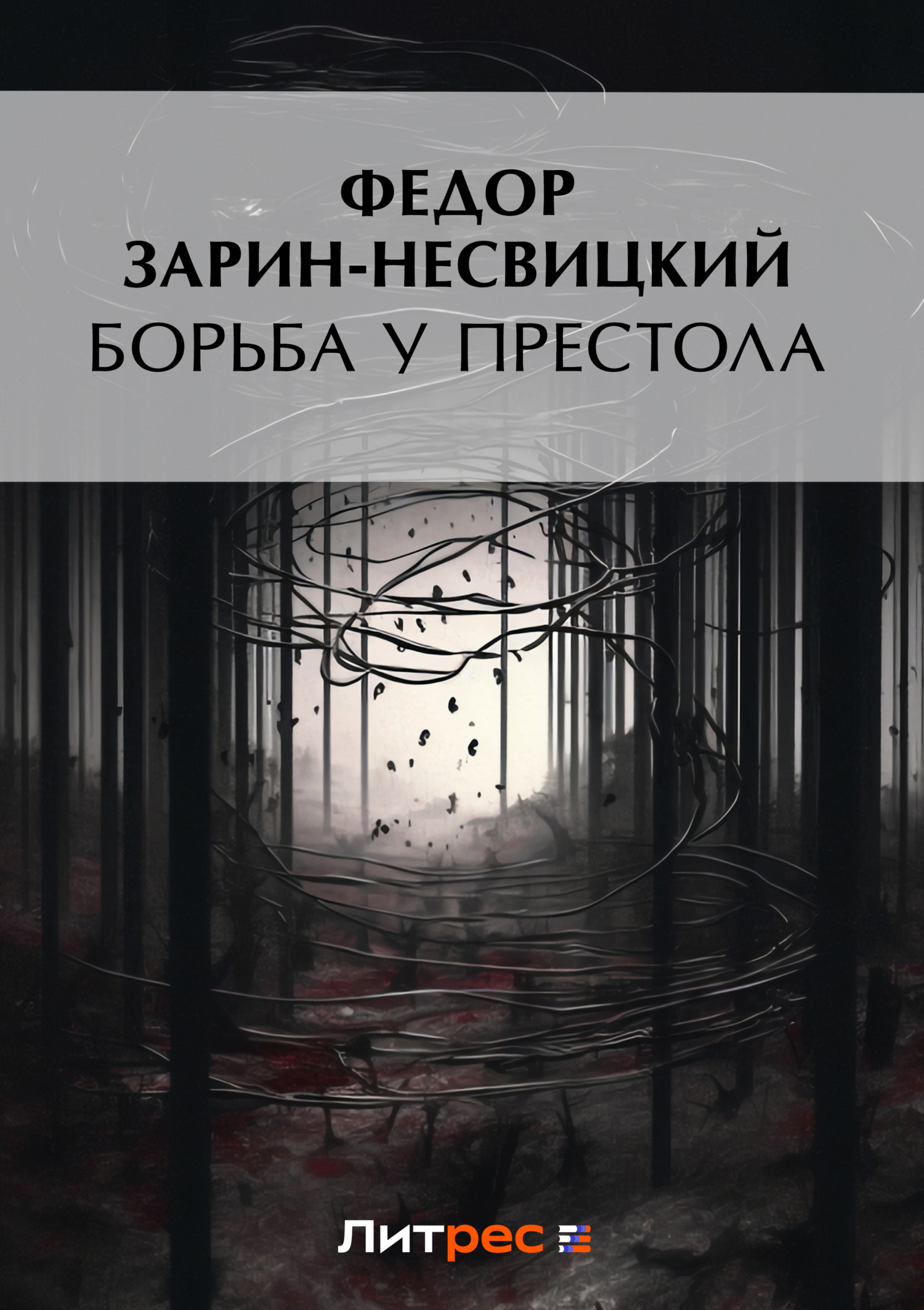 Читать онлайн «Борьба у престола», Федор Ефимович Зарин-Несвицкий – ЛитРес,  страница 13