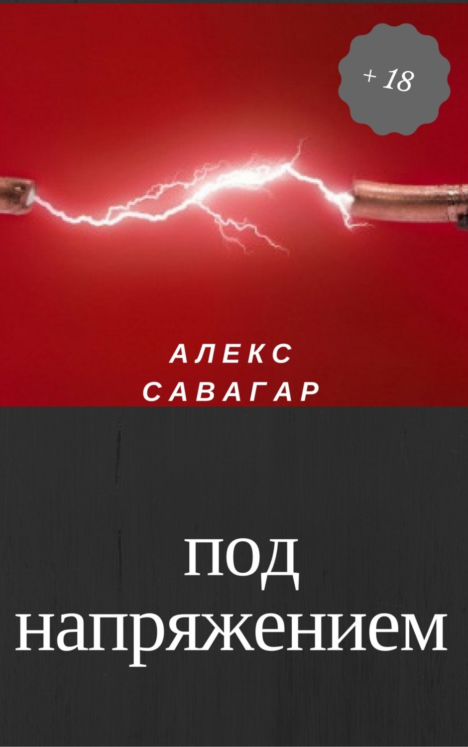 Читать онлайн «Под напряжением», Алекс Савагар – ЛитРес, страница 4