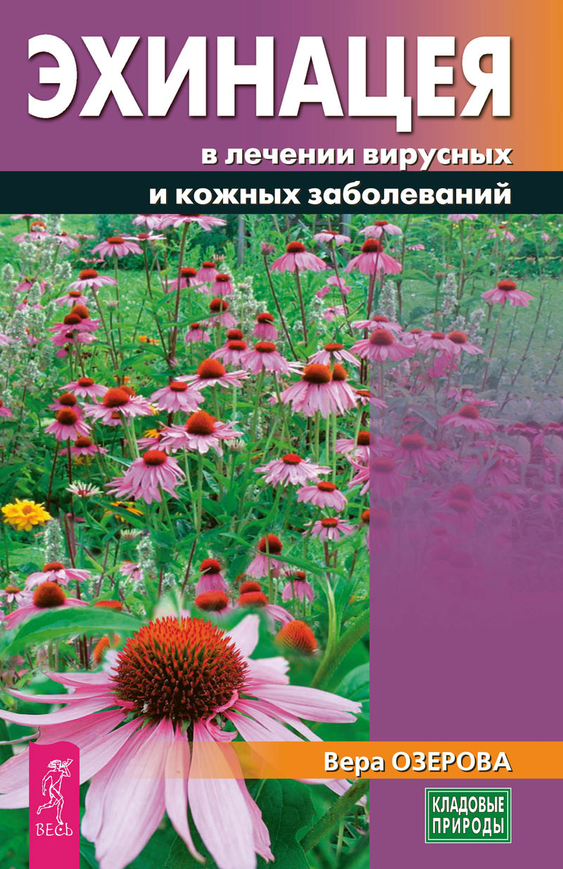 Овес для лечения сахарного диабета и болезней печени, Вера Озерова –  скачать книгу fb2, epub, pdf на ЛитРес