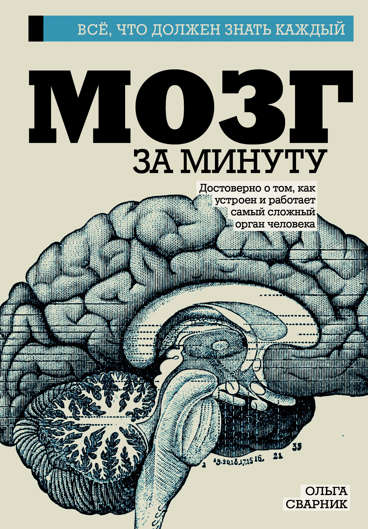 Мозг за минуту, Ольга Сварник – скачать pdf на ЛитРес