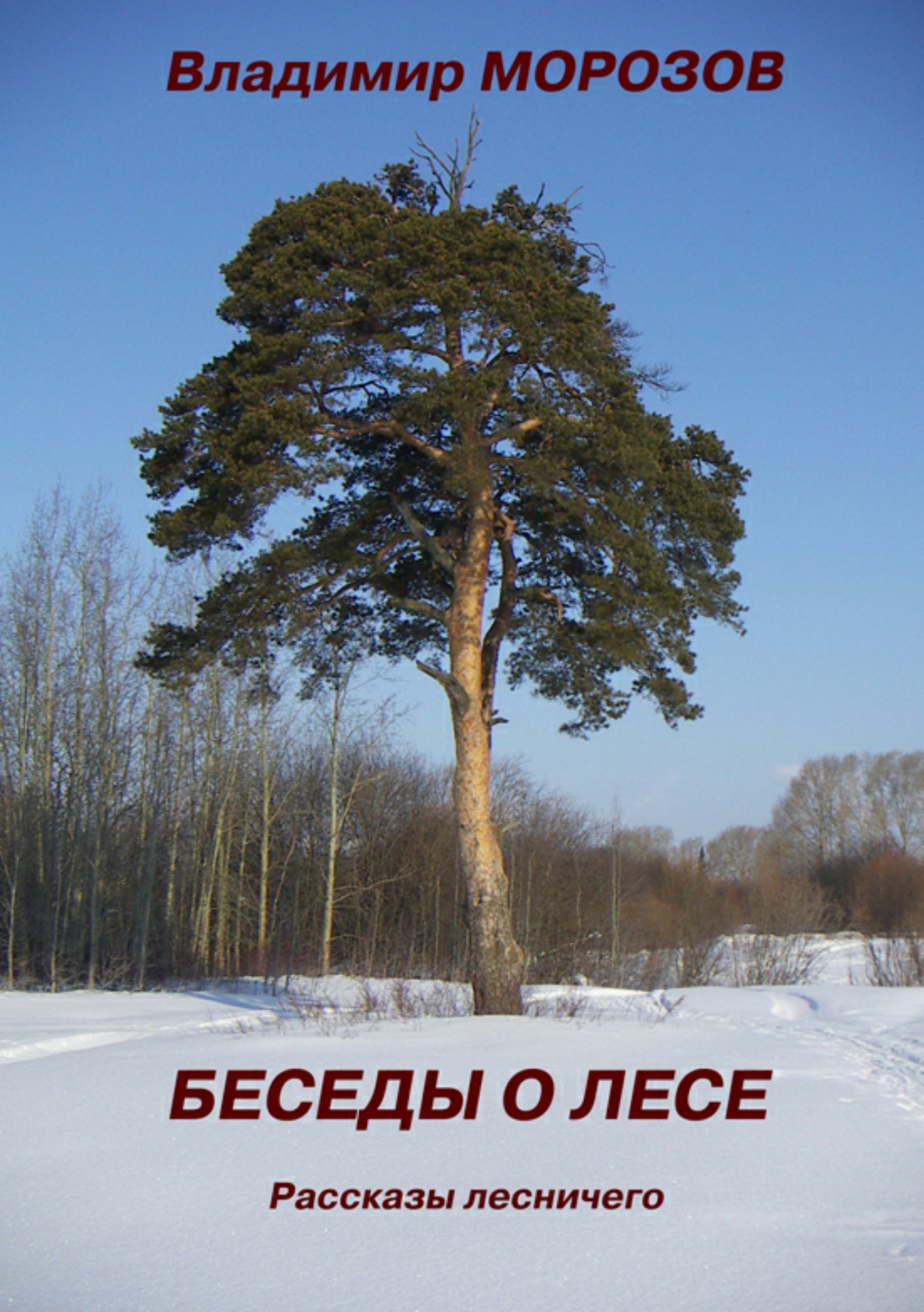 Беседы о лесе. Морозов беседы о лесе. Морозов рассказы о русском лесе.