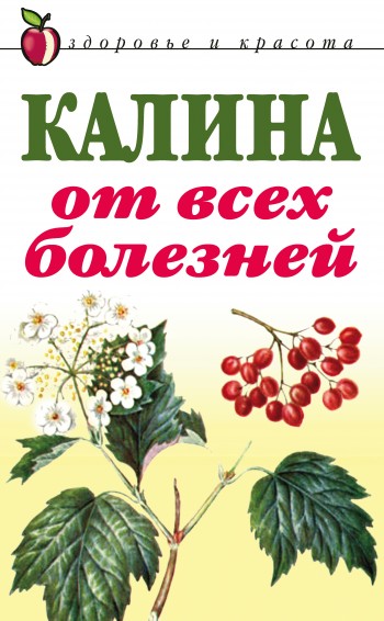 Читать онлайн «Калина от всех болезней», undefined – ЛитРес