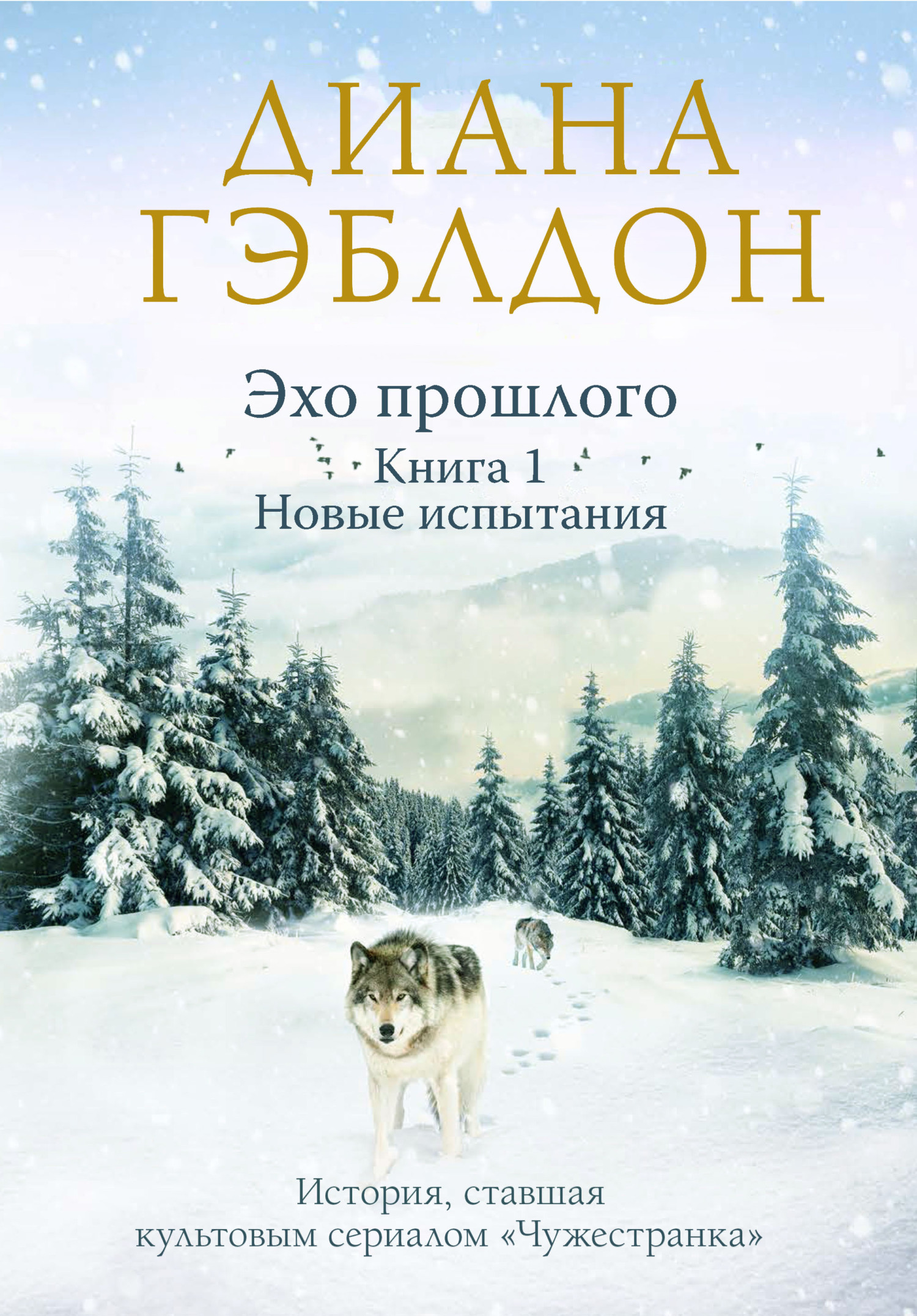 Читать онлайн «Эхо прошлого. Книга 1. Новые испытания», Диана Гэблдон –  ЛитРес, страница 5