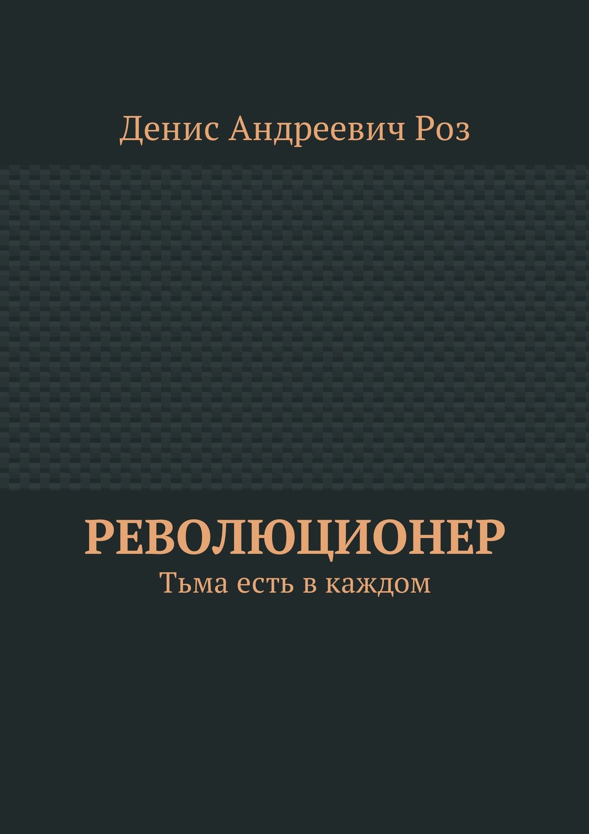 Читать онлайн «Революционер. Тьма есть в каждом», Денис Андреевич Роз –  ЛитРес