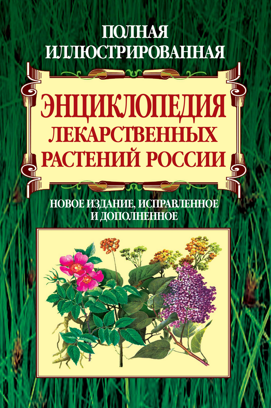 Энциклопедия растений с картинками