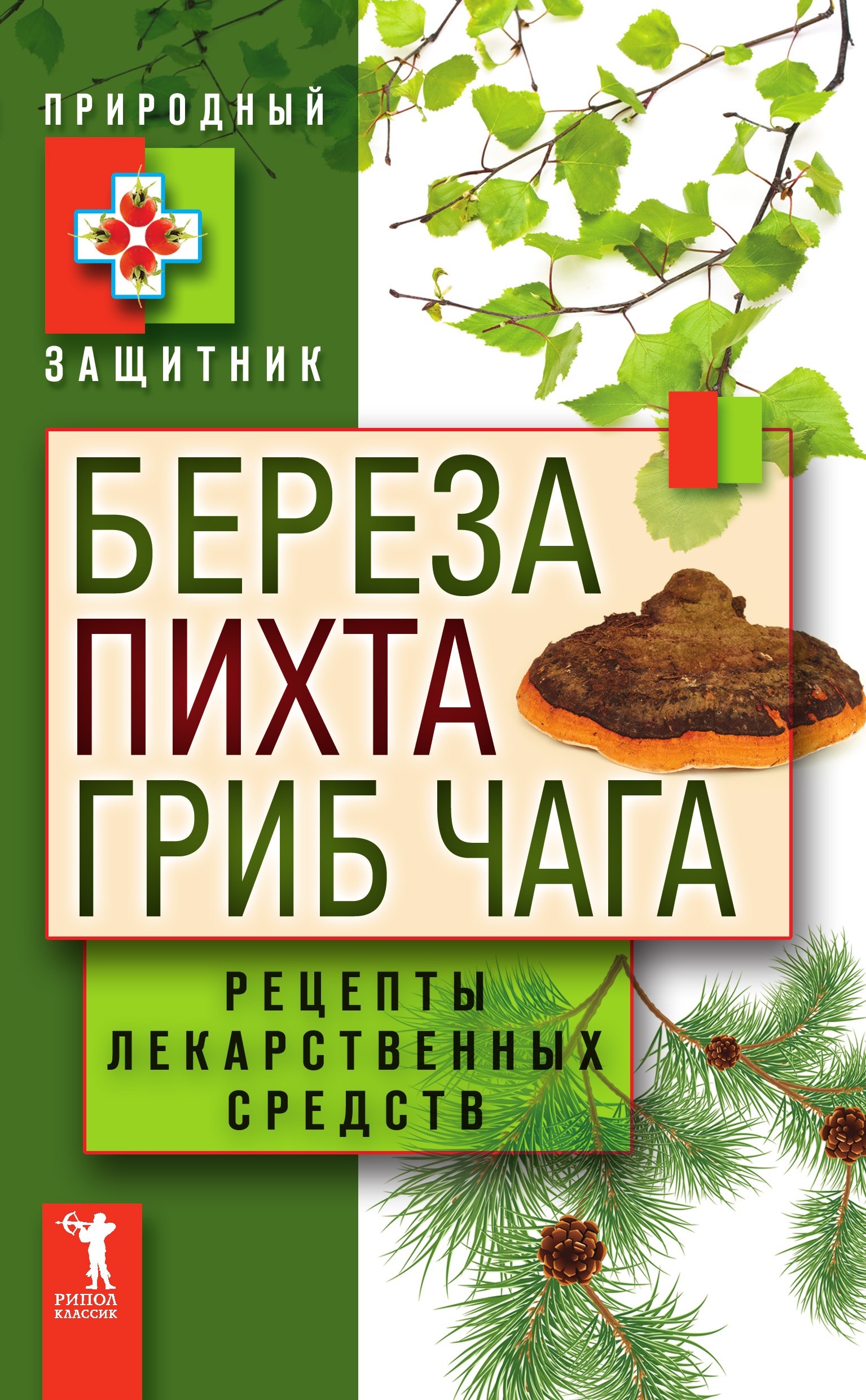 Береза, пихта, гриб чага. Рецепты лекарственных средств – скачать книгу  fb2, epub, pdf на ЛитРес