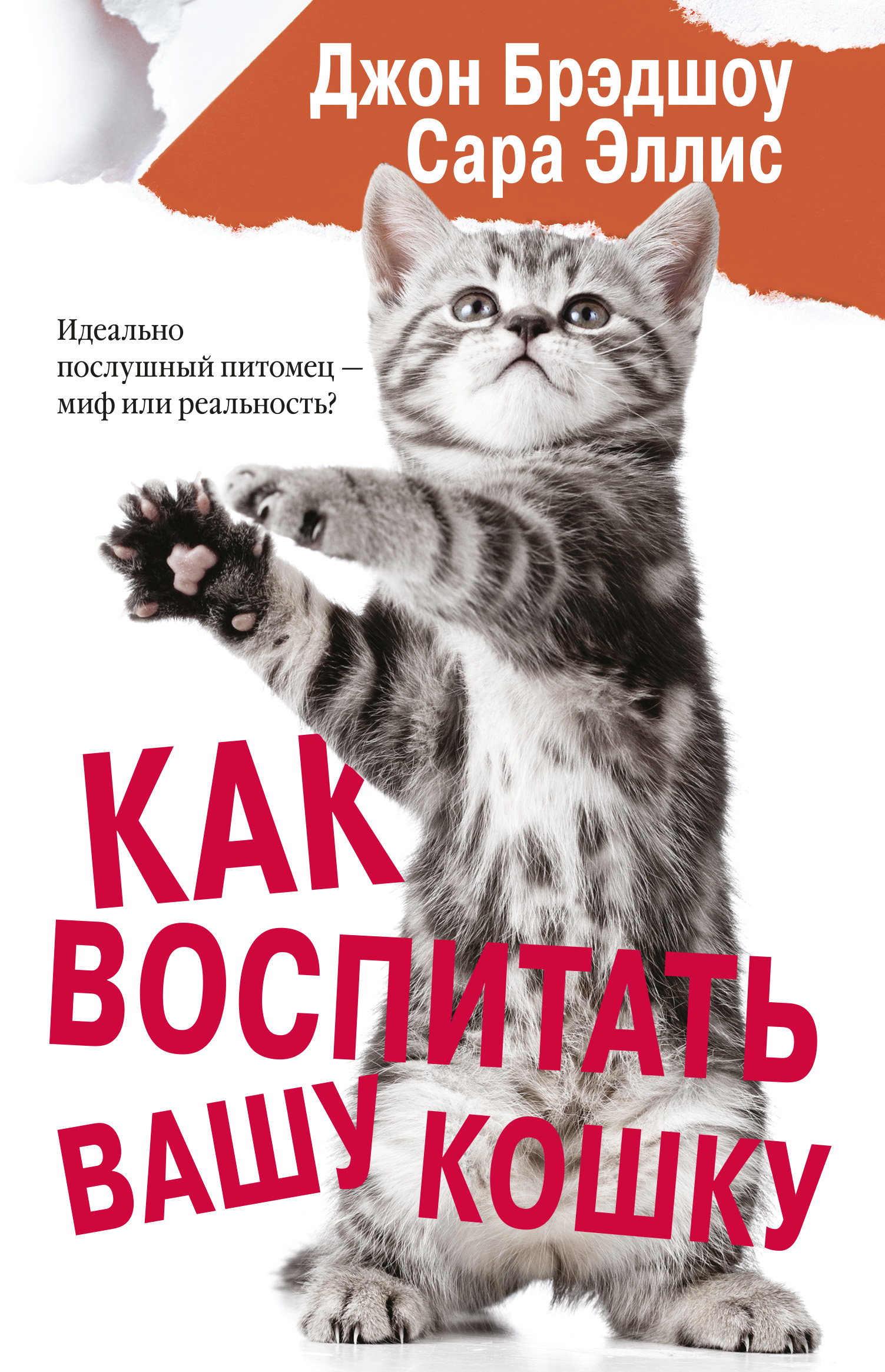 Читать онлайн «Как воспитать вашу кошку», Сара Эллис – ЛитРес, страница 3