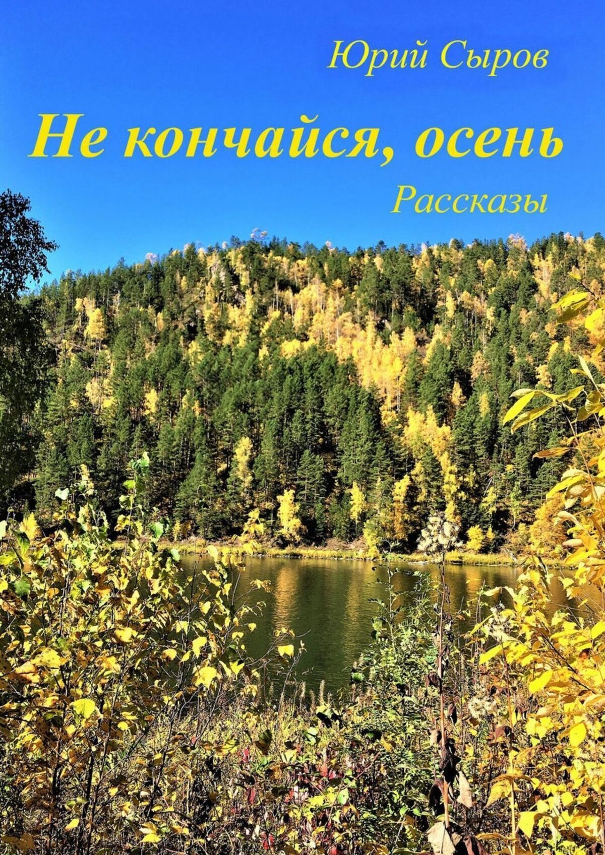 Читать онлайн «Не кончайся, осень. Рассказы», Юрий Сыров – ЛитРес, страница  2