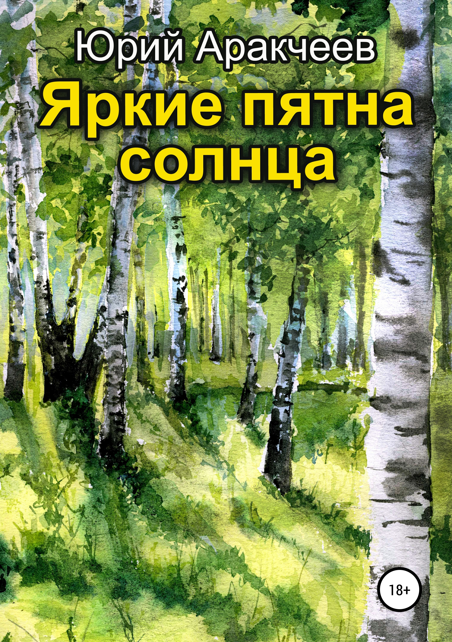 Читать онлайн «Яркие пятна солнца», Юрий Сергеевич Аракчеев – ЛитРес,  страница 10