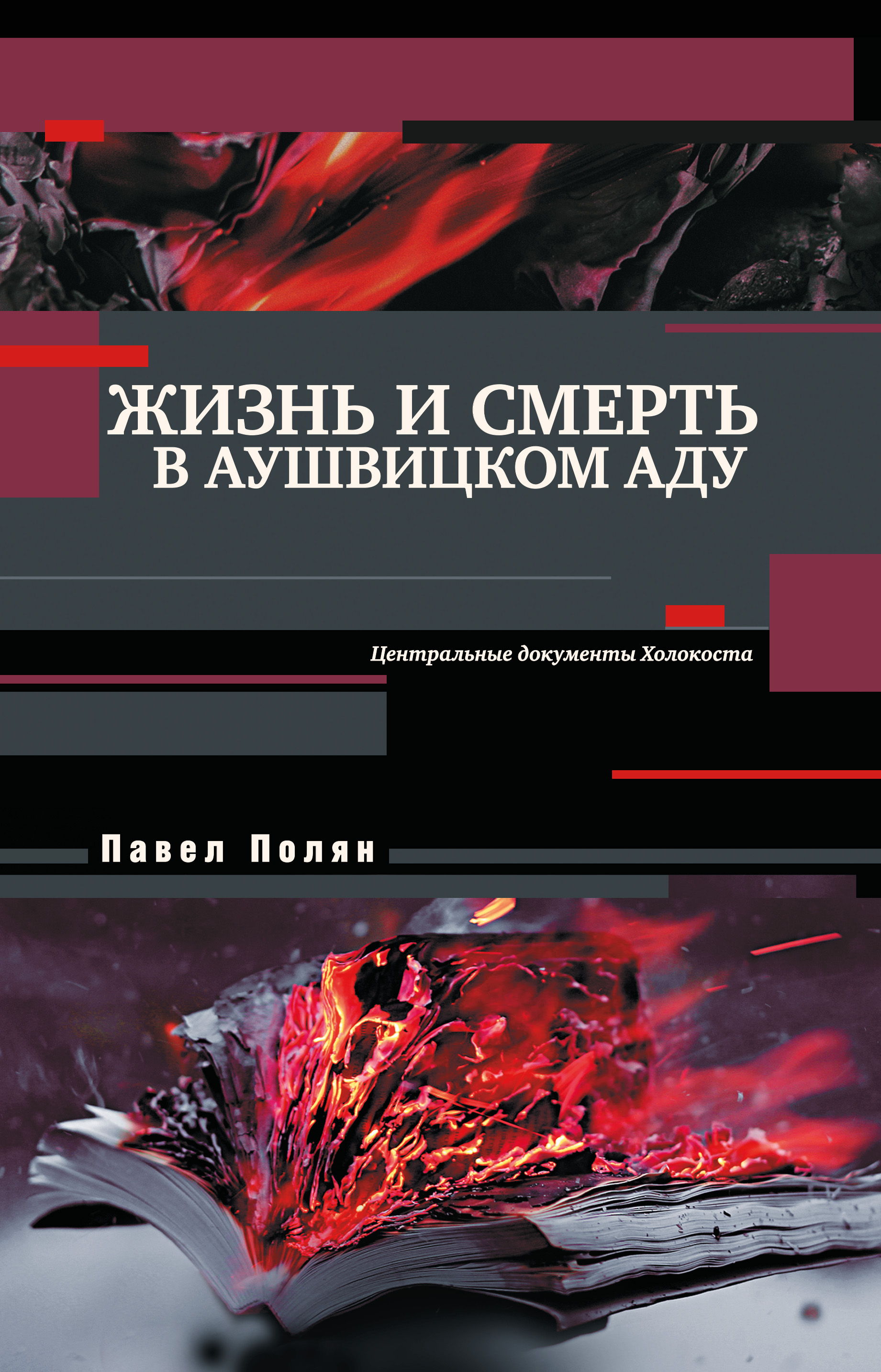 Читать онлайн «Жизнь и смерть в аушвицком аду», Павел Полян – ЛитРес,  страница 5