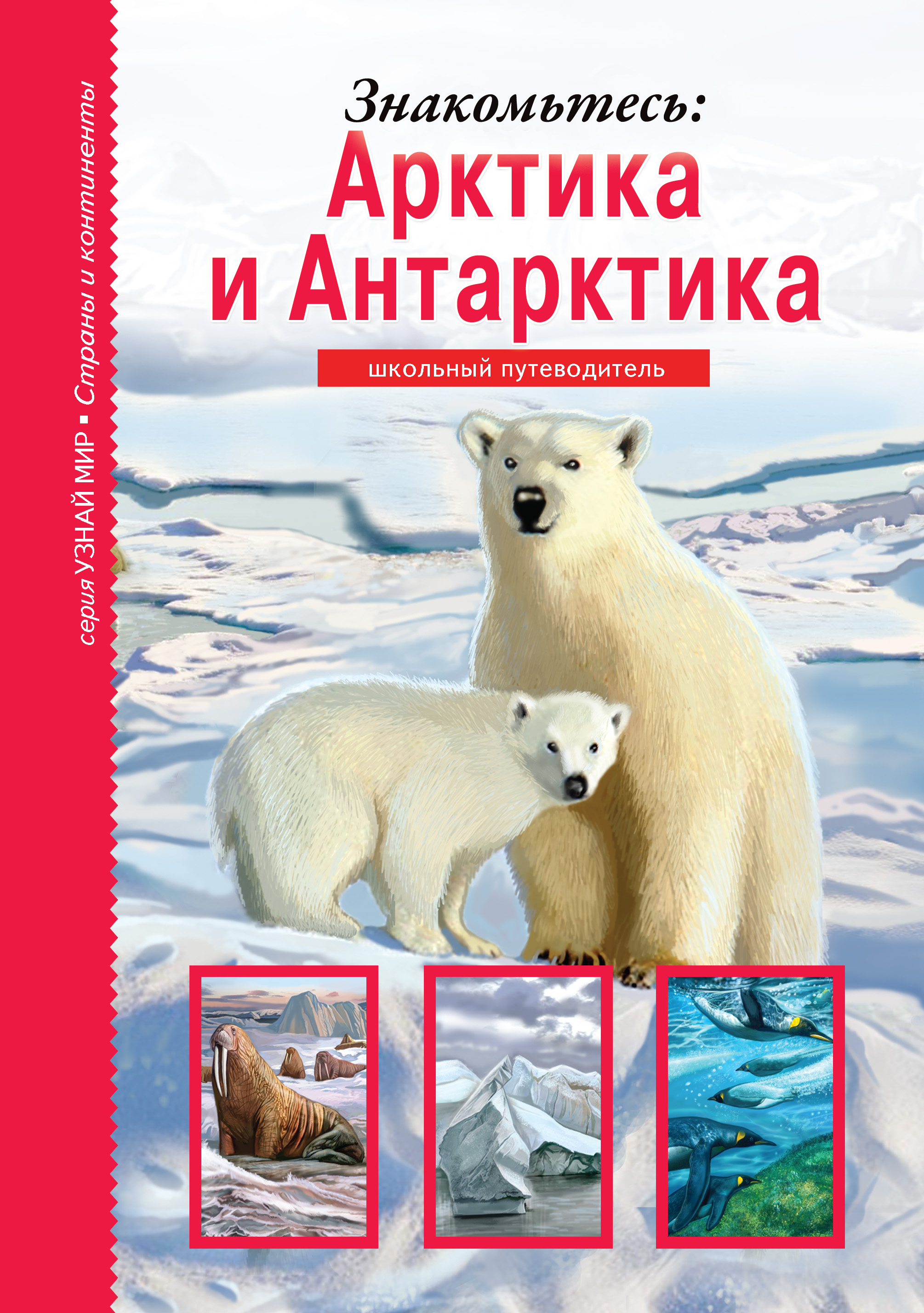 Читать онлайн «Знакомьтесь: Арктика и Антарктика», Сергей Афонькин –  ЛитРес, страница 4