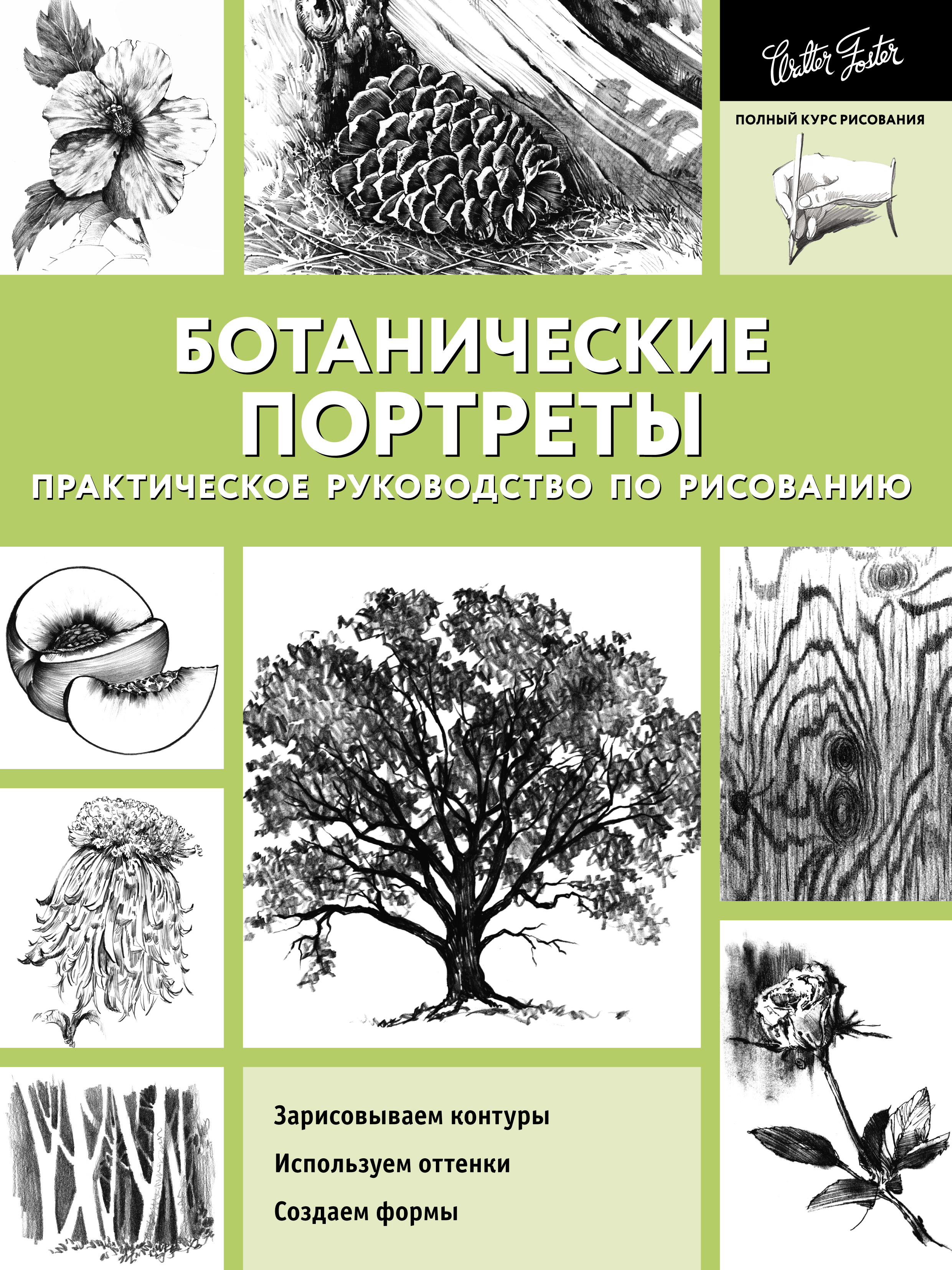 «Ботанические портреты. Практическое руководство по рисованию» – Коллектив  авторов | ЛитРес