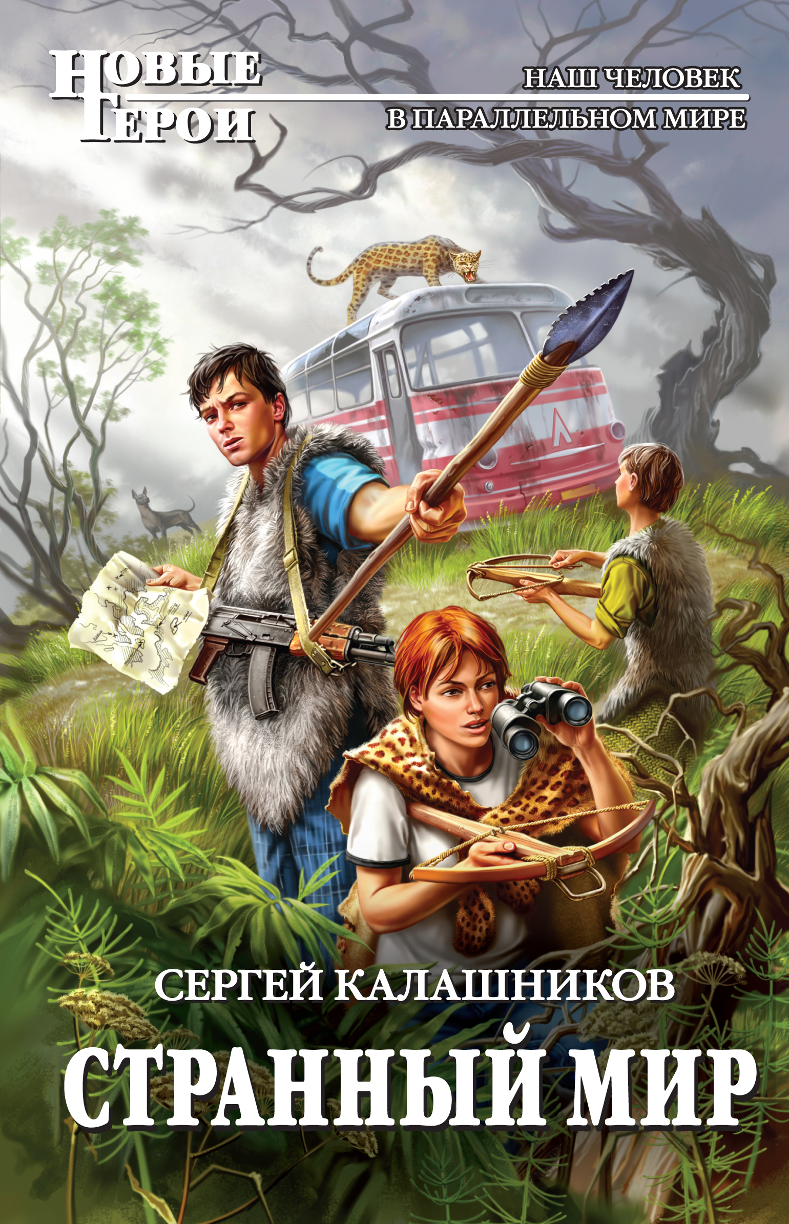 Странный мир, Сергей Калашников – скачать книгу fb2, epub, pdf на ЛитРес