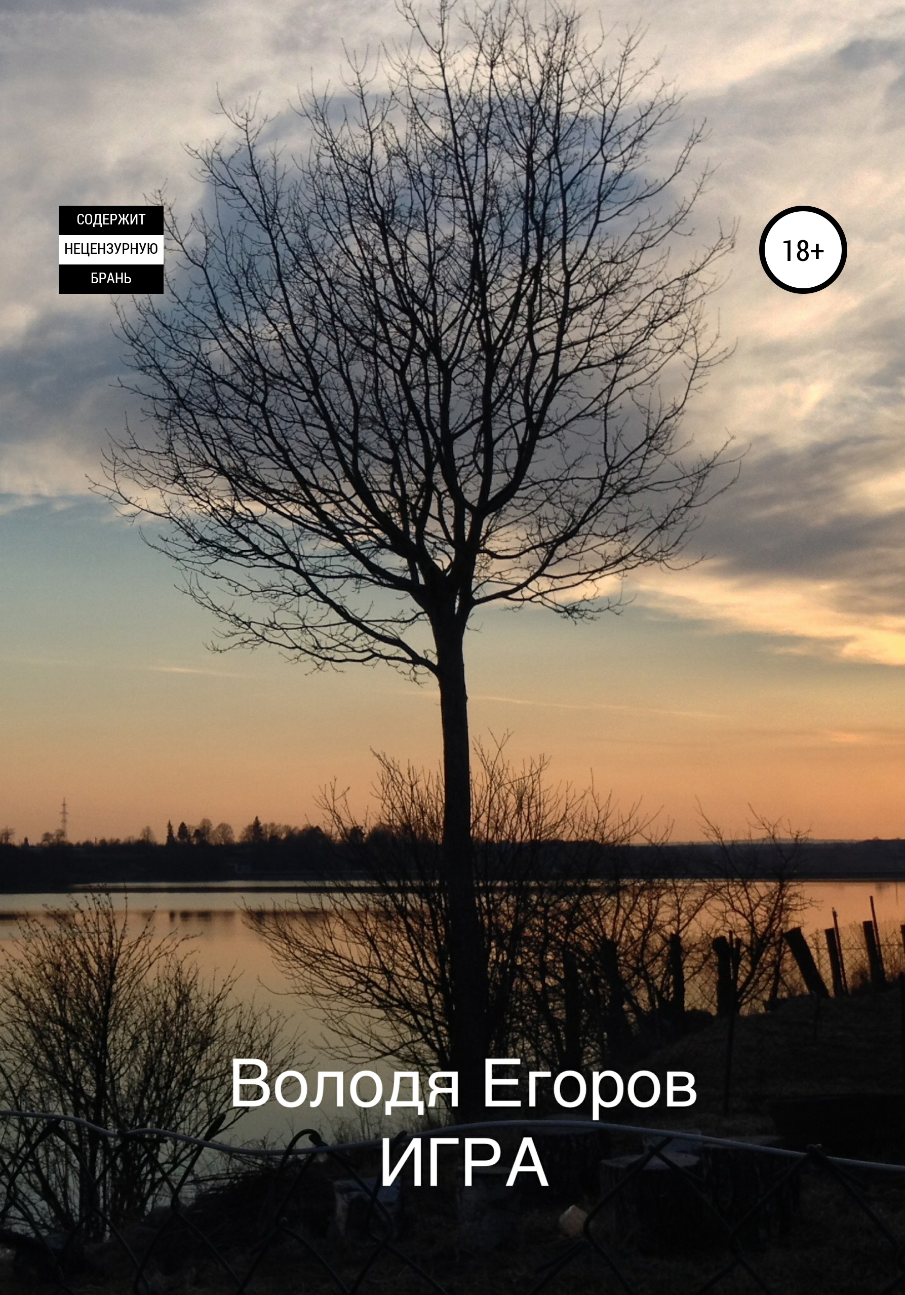 Игра, Володя Егоров – скачать книгу fb2, epub, pdf на ЛитРес