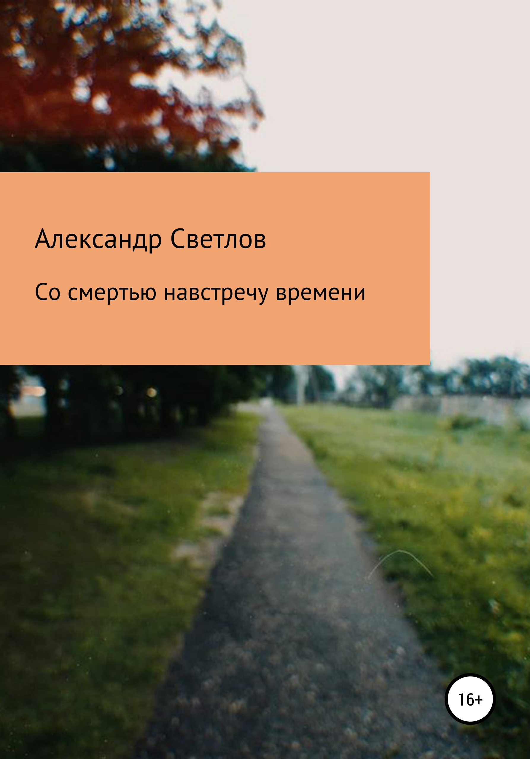 Читать онлайн «Безнадзорный. Сломанный компас», Александр Светлов – ЛитРес,  страница 6