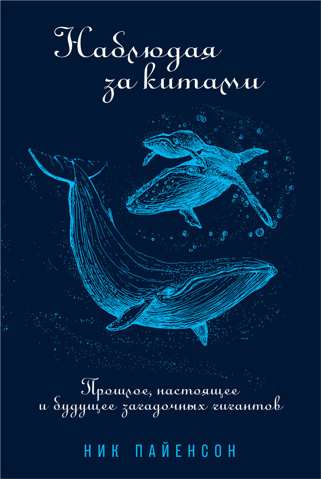 Читать онлайн «Наблюдая за китами», Ник Пайенсон – ЛитРес