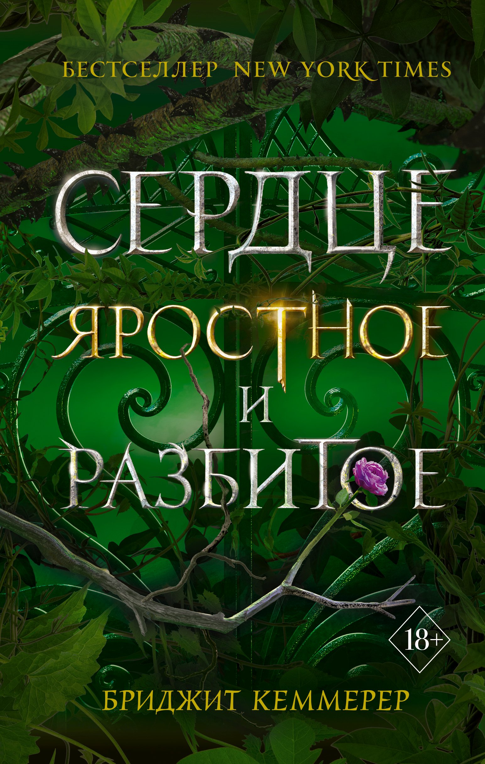 Читать онлайн «Сердце яростное и разбитое», Бриджит Кеммерер – ЛитРес,  страница 4