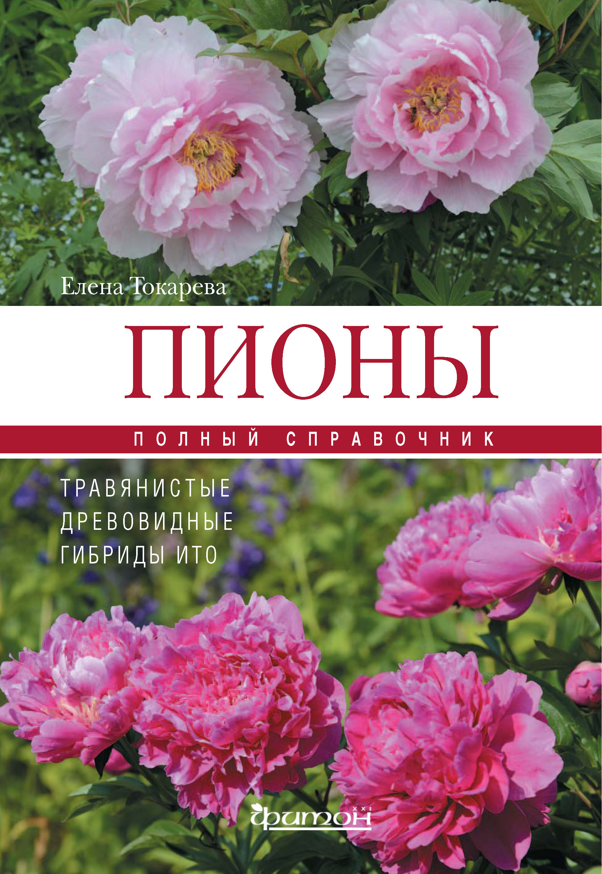 Пионы. Роскошные цветы для дома и сада, Джейн Исто – скачать pdf на ЛитРес