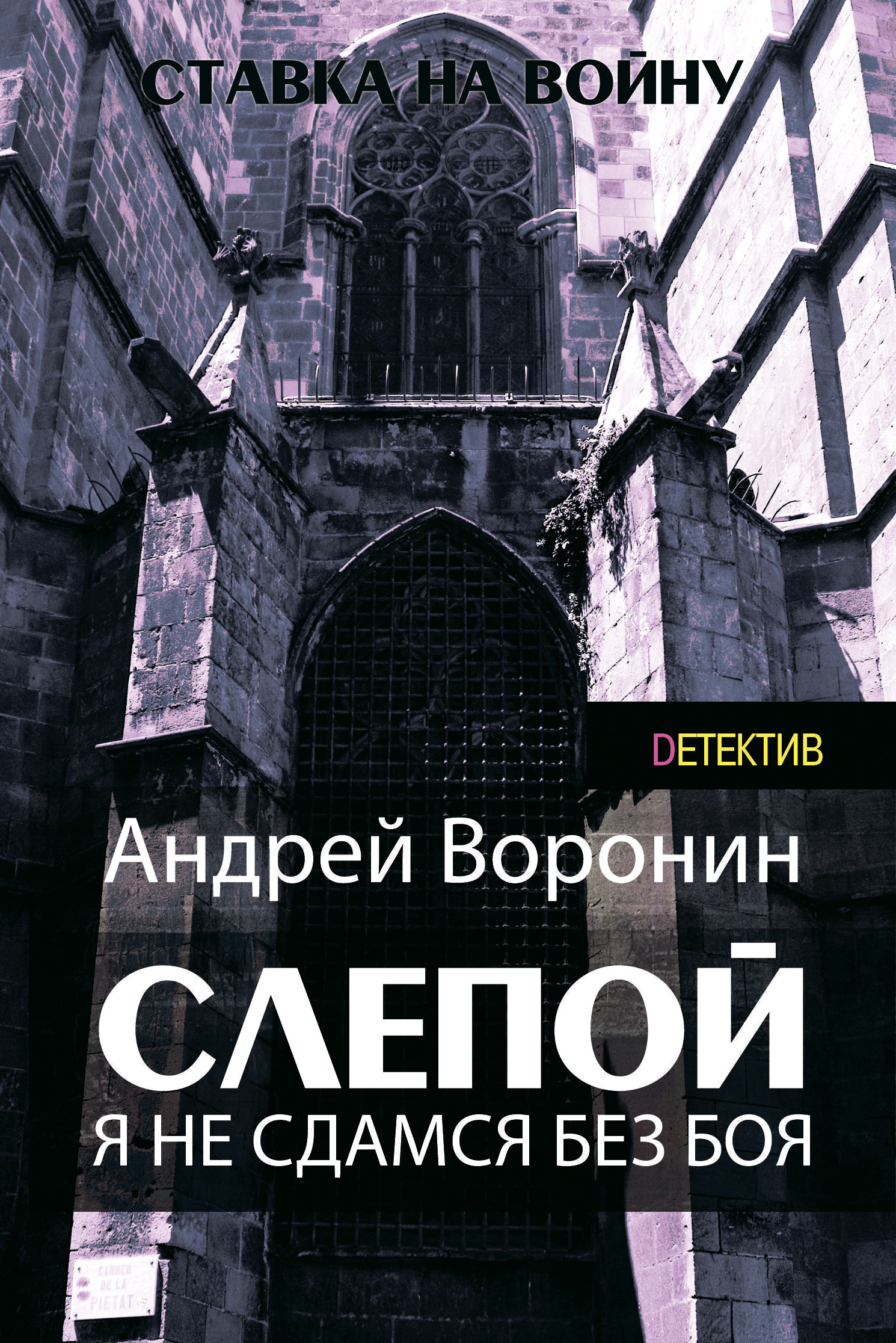 Читать онлайн «Слепой. Я не сдамся без боя!», Андрей Воронин – ЛитРес,  страница 4