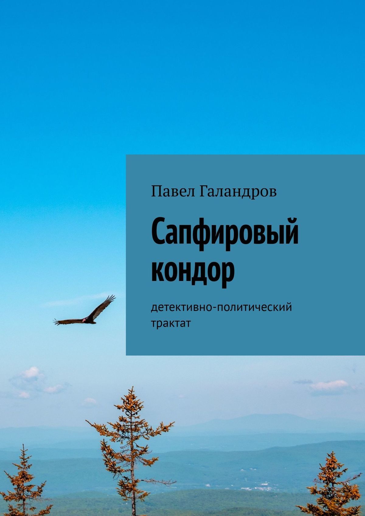 Читать онлайн «Сапфировый кондор. Детективно-политический трактат», Павел  Галандров – ЛитРес, страница 3