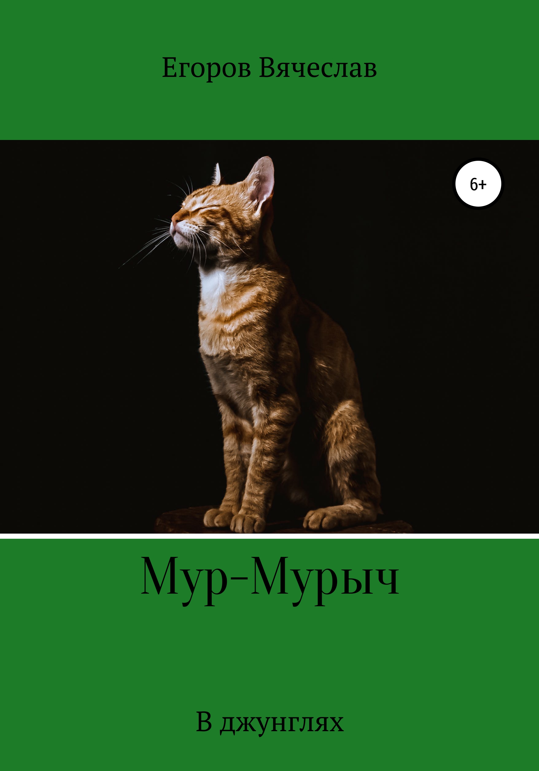 Книги про мур. Мур Мурыч. Кот Мурыч.