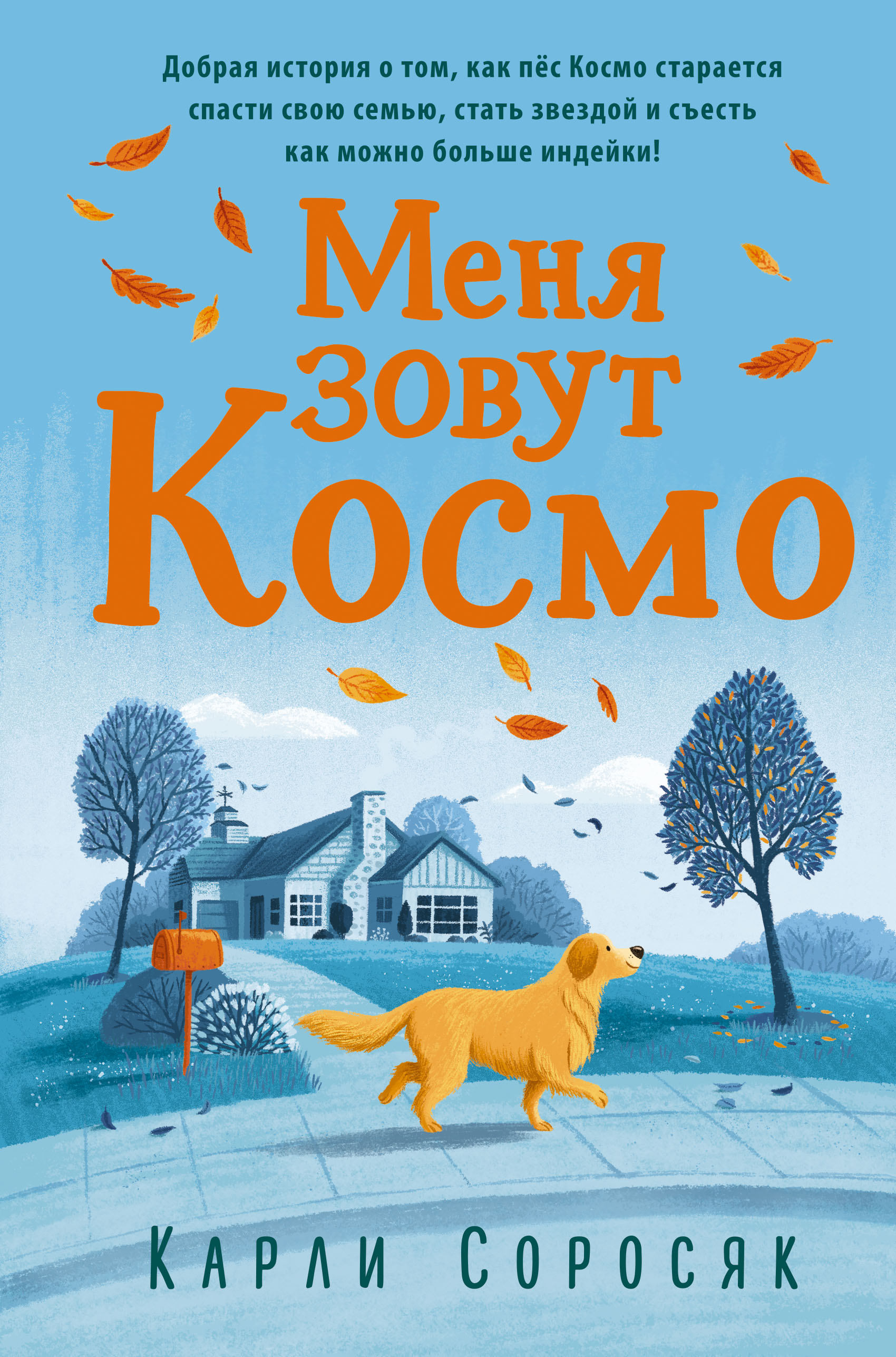 Читать онлайн «Меня зовут Космо», Карли Соросяк – ЛитРес, страница 3