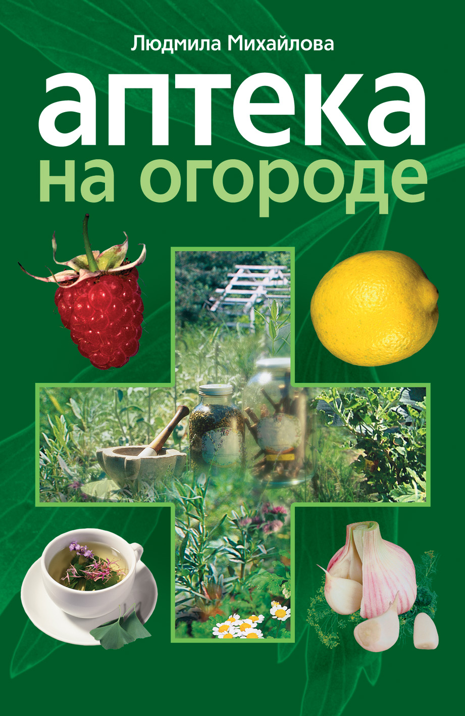 Читать онлайн «Аптека на огороде», Людмила Михайлова – ЛитРес, страница 4