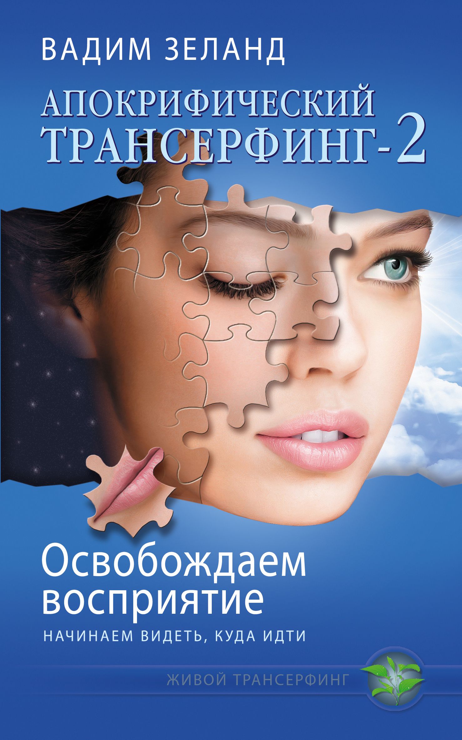 Освобождаем восприятие: начинаем видеть, куда идти, Вадим Зеланд – скачать  книгу fb2, epub, pdf на ЛитРес