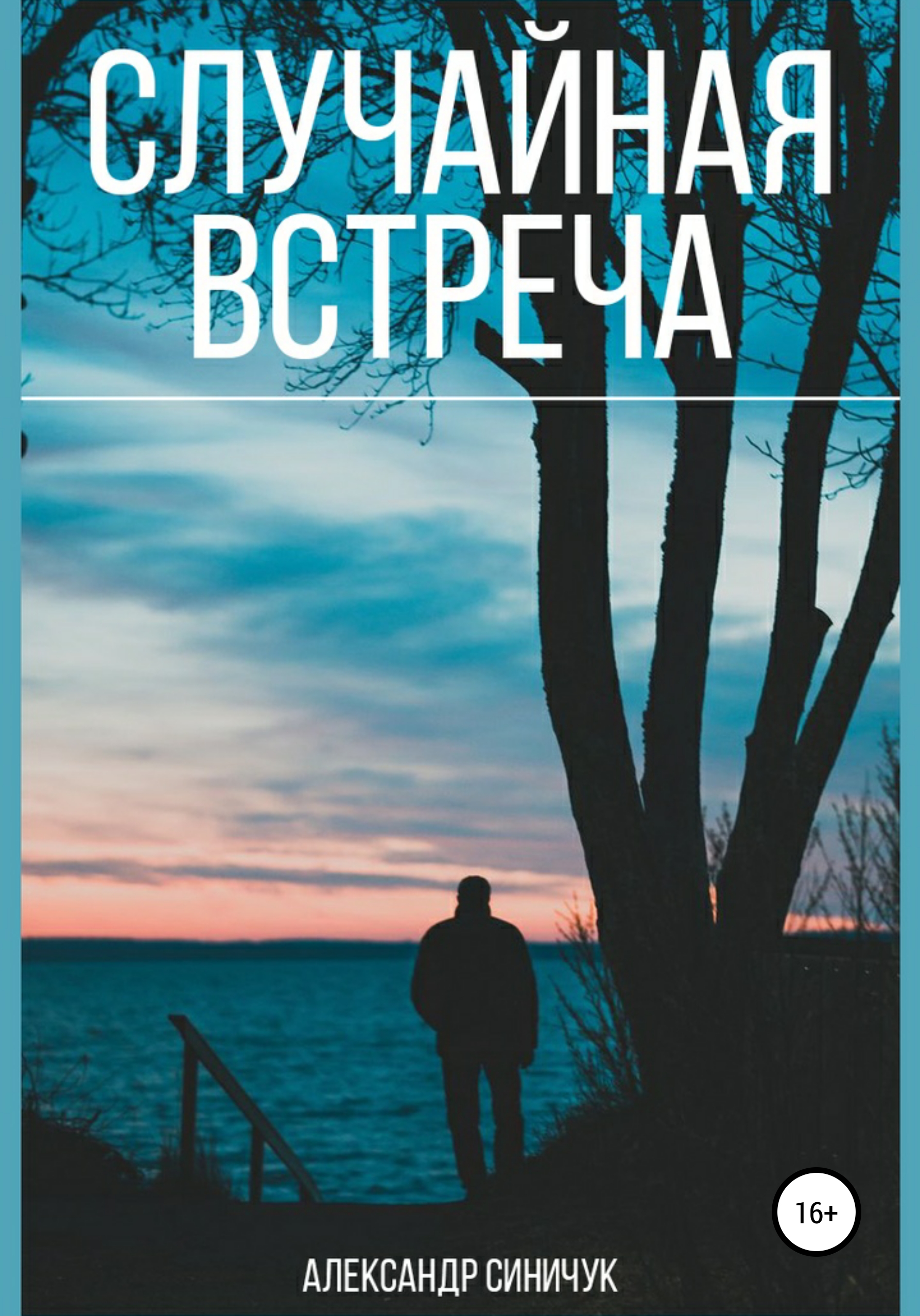 Читать книгу случайная встреча. Случайная встреча книга. Случайная встреча книга о чем. Встреча читать. Синичук Владимир Александрович.