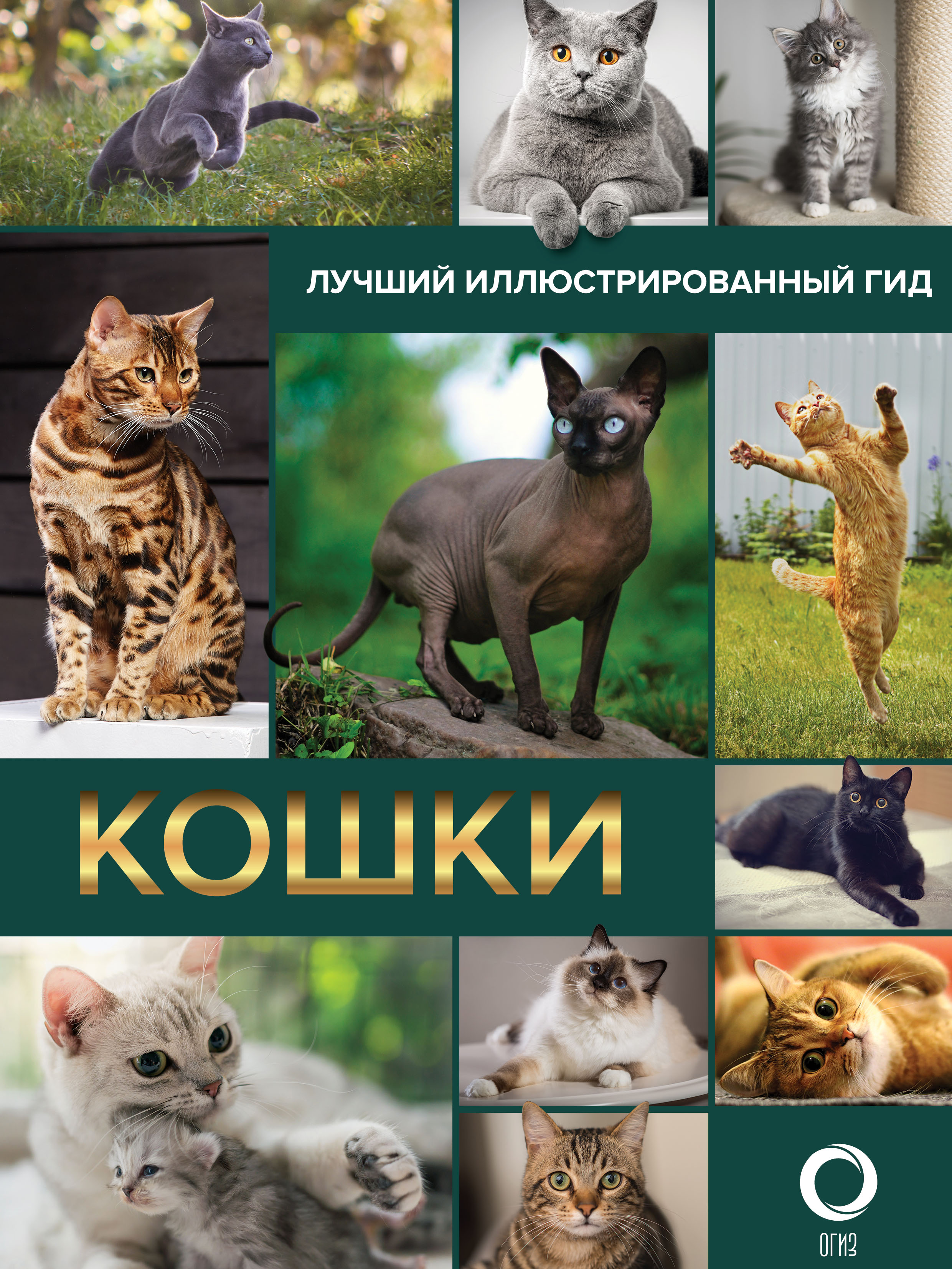 Кошки, Н. Н. Непомнящий – скачать pdf на ЛитРес