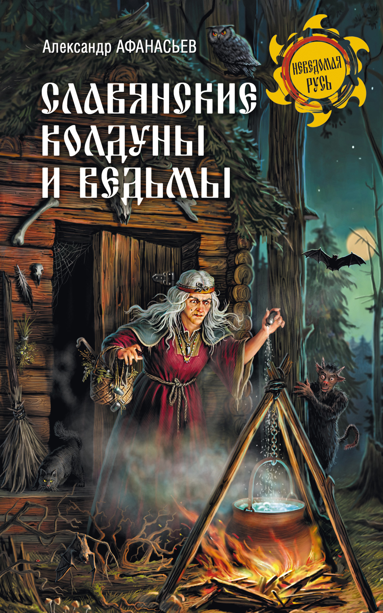 Славянские колдуны и ведьмы, Александр Николаевич Афанасьев – скачать книгу  fb2, epub, pdf на ЛитРес