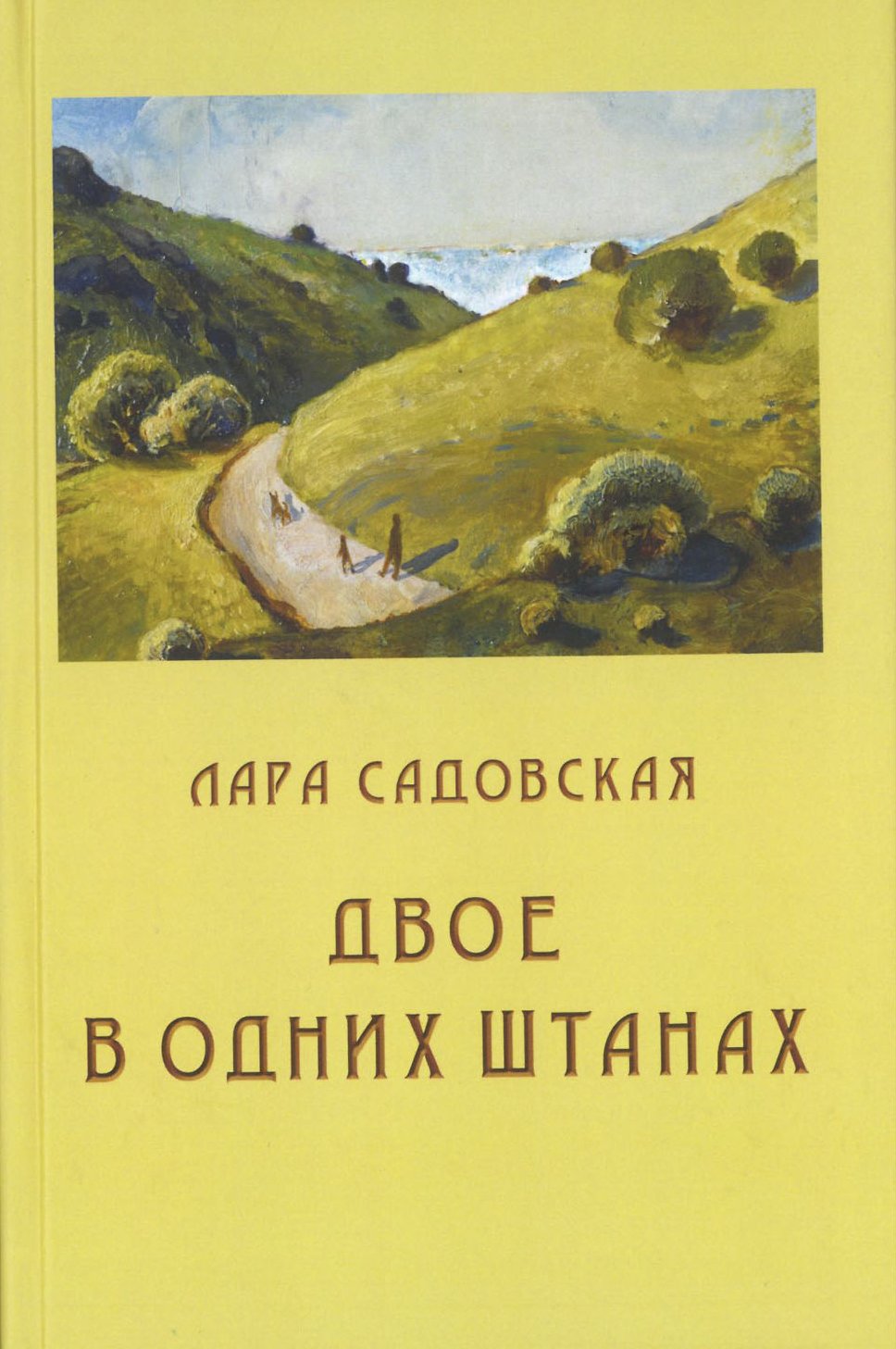 Читать онлайн «Двое в одних штанах», Лара Садовская – ЛитРес, страница 3