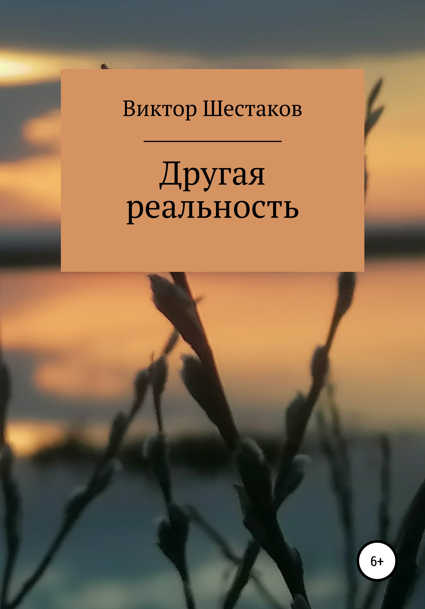 Читать онлайн «Другая реальность», Виктор Павлович Шестаков – ЛитРес,  страница 6