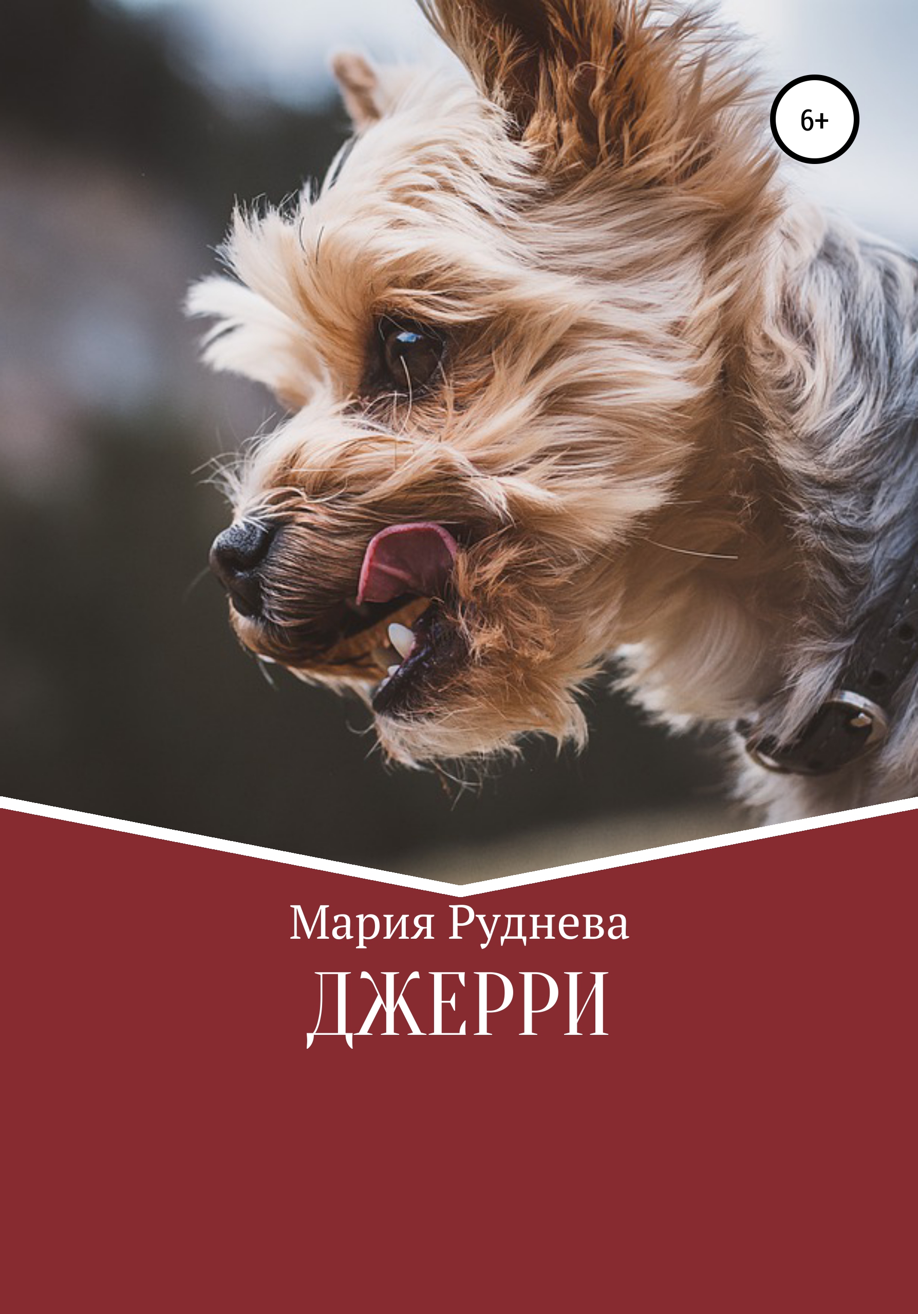 Стеклянный город, Мария Руднева – скачать книгу fb2, epub, pdf на ЛитРес