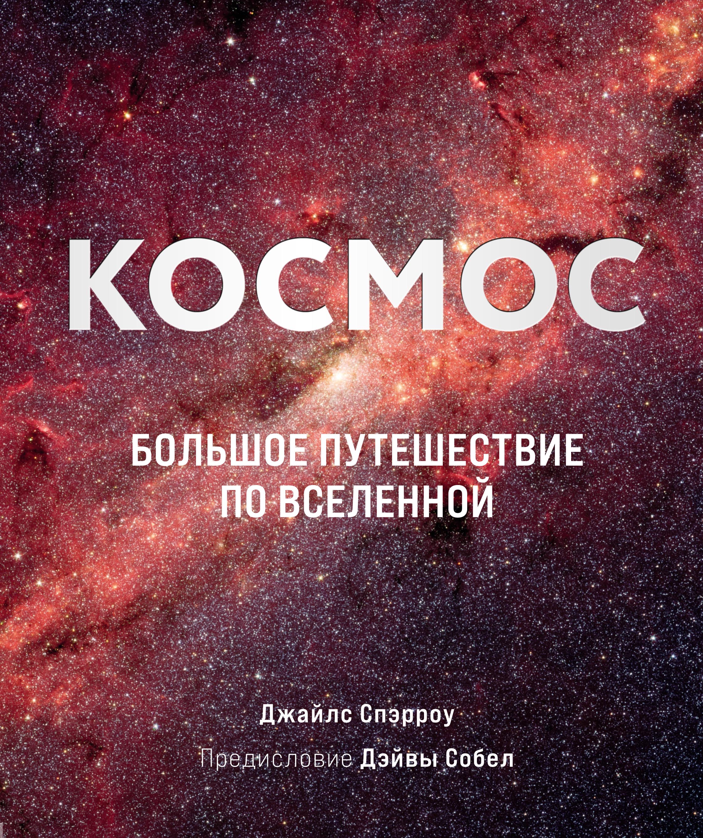 Десятилетия науки и технологий в России | Направления деятельности проекта