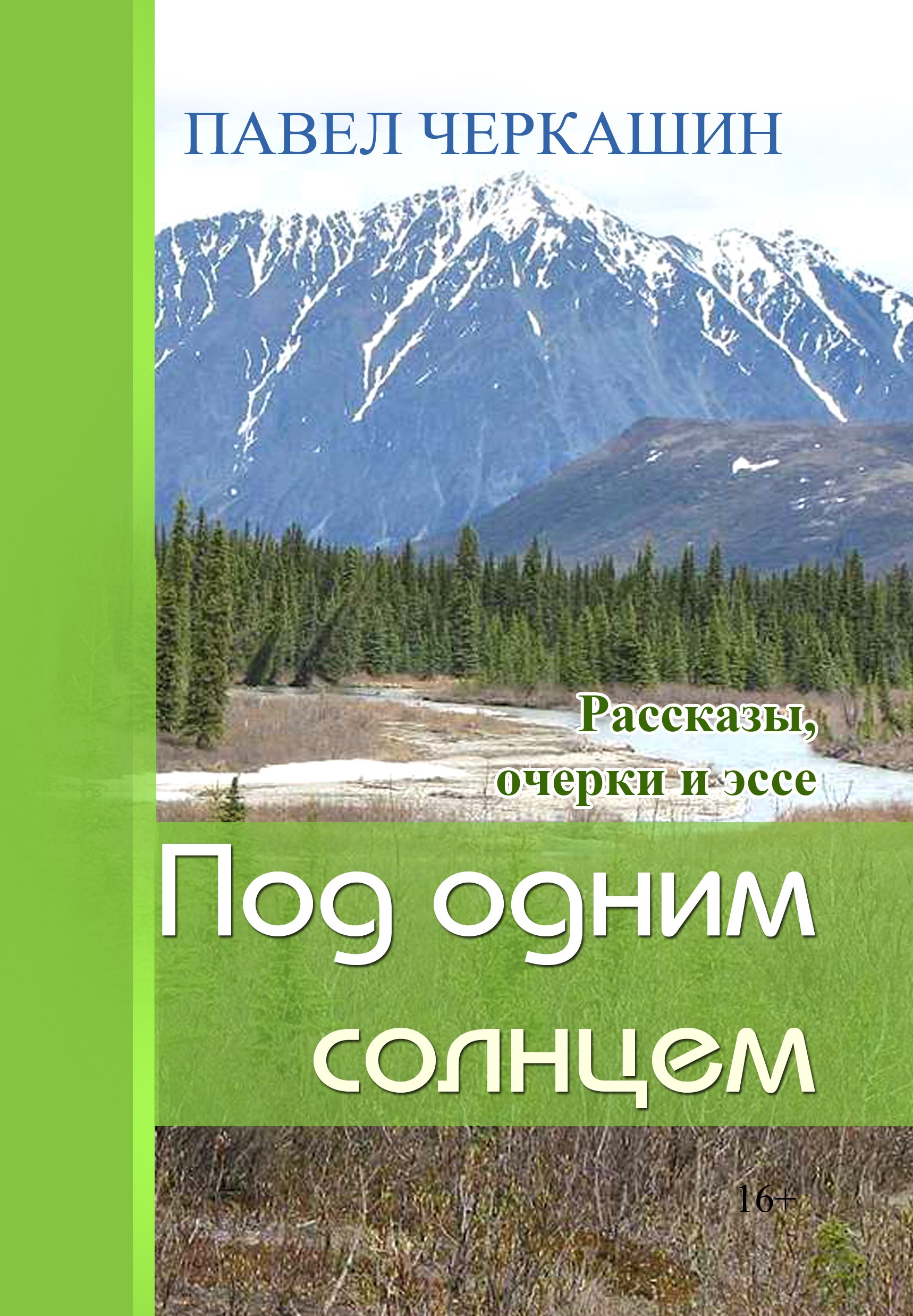 Читать онлайн «Под одним солнцем. Рассказы, очерки и эссе», Павел Черкашин  – ЛитРес, страница 2