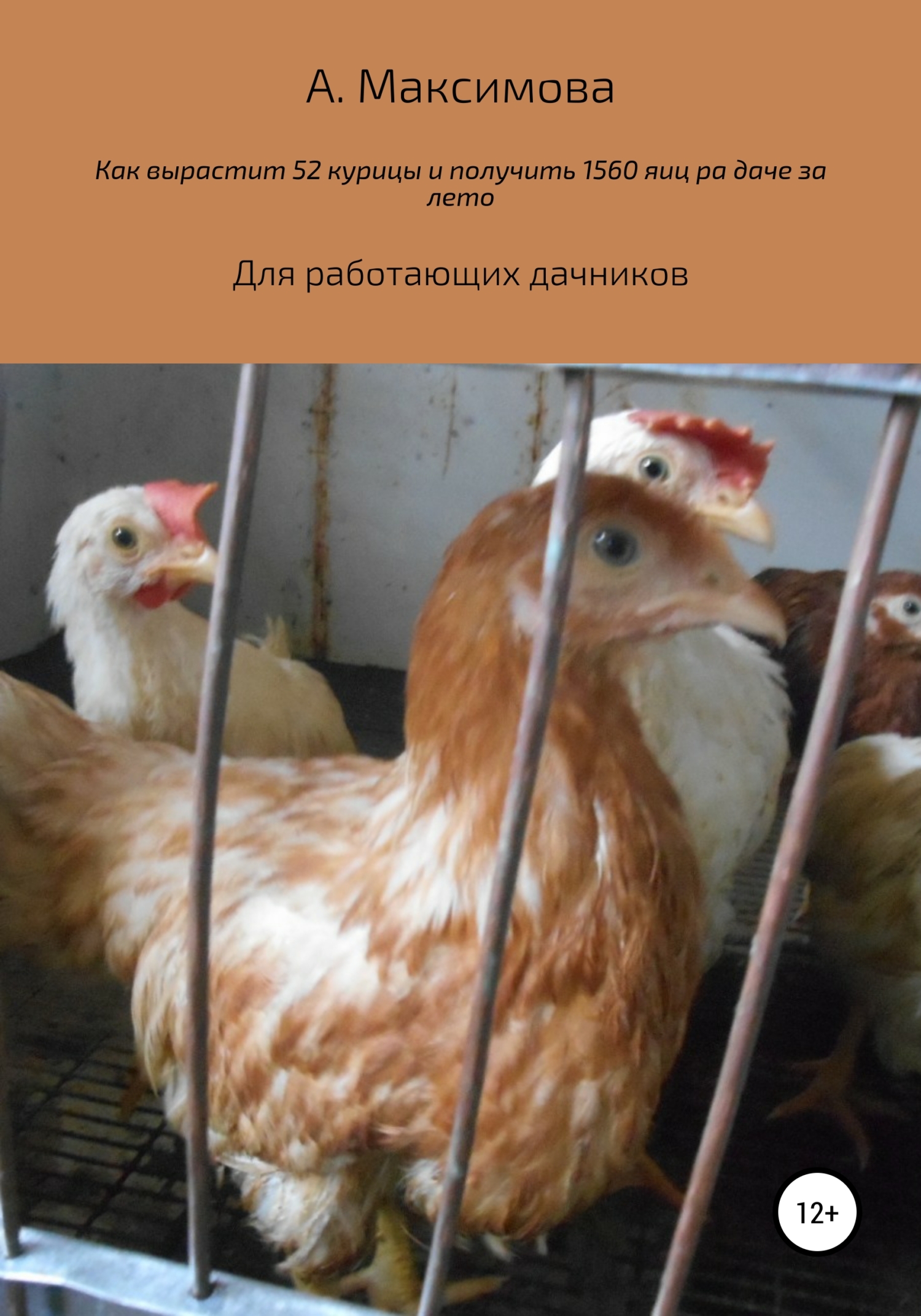 Как вырастить 52 курицы и получить 1560 яиц на даче за лето. Для работающих  дачников, Александра Олеговна Максимова – скачать книгу fb2, epub, pdf на  ЛитРес