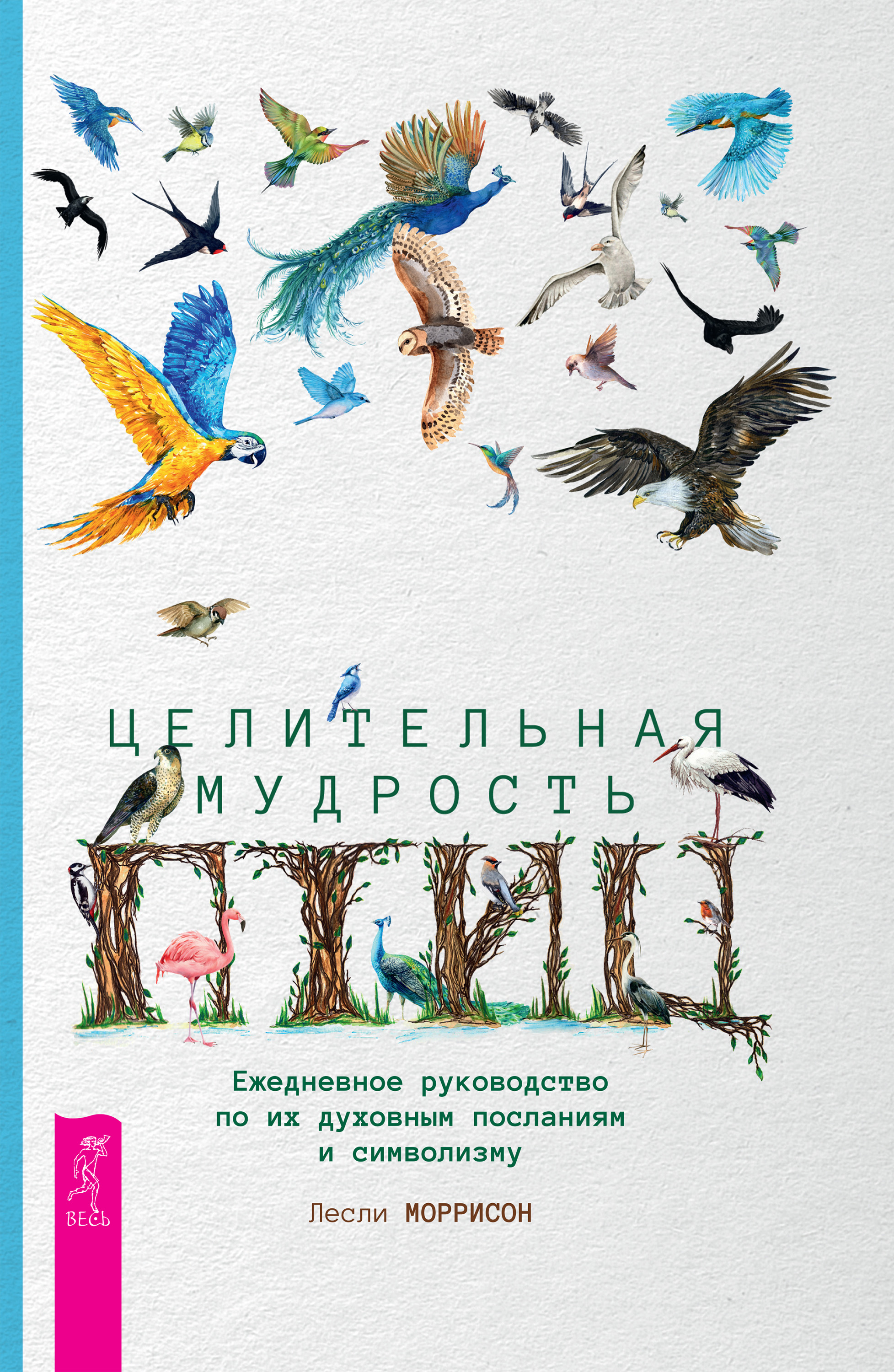 Читать онлайн «Целительная мудрость птиц. Ежедневное руководство по их  духовным посланиям и символизму», Лесли Моррисон – ЛитРес, страница 4