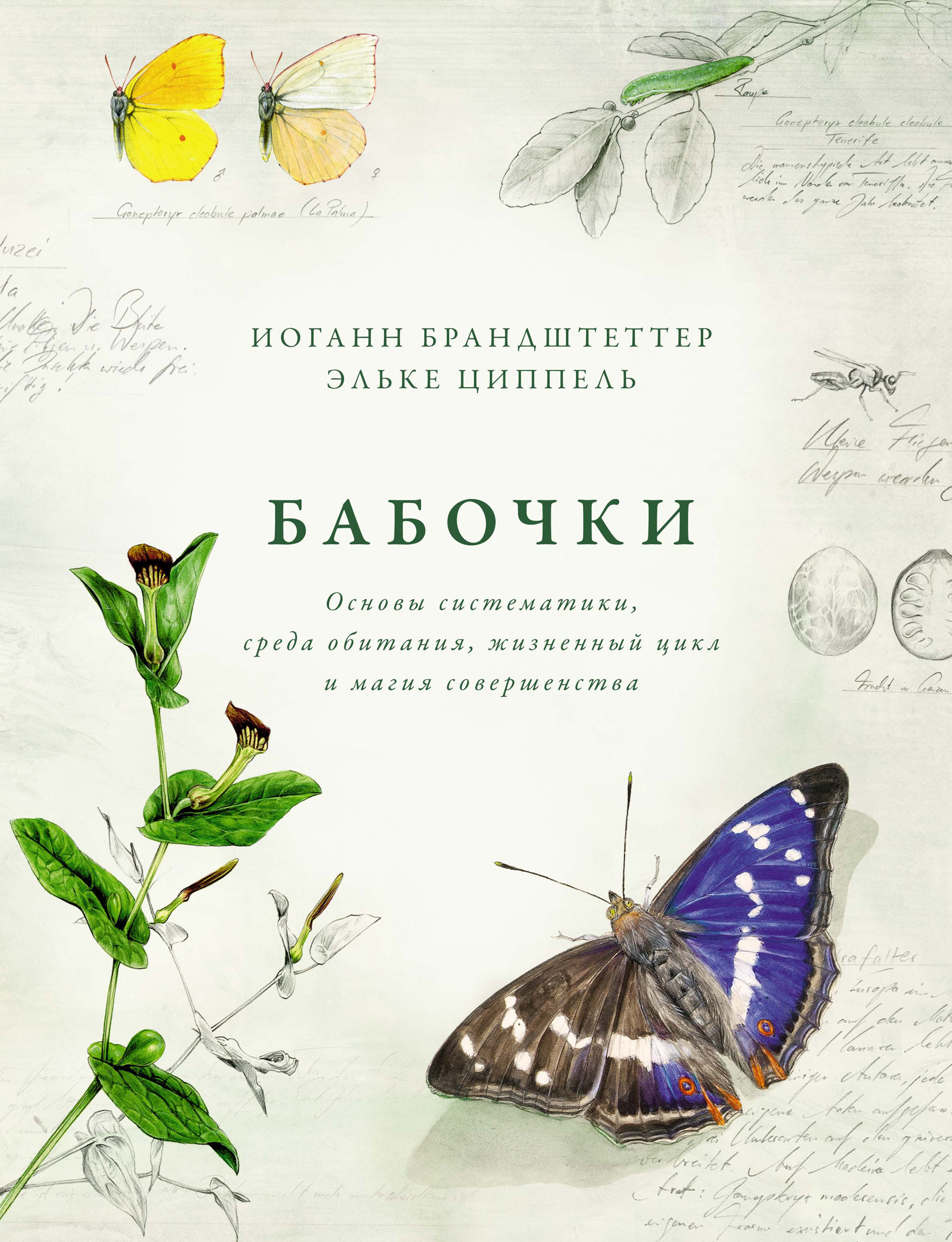 Читать онлайн «Бабочки. Основы систематики, среда обитания, жизненный цикл  и магия совершенства», Иоганн Брандштеттер – ЛитРес