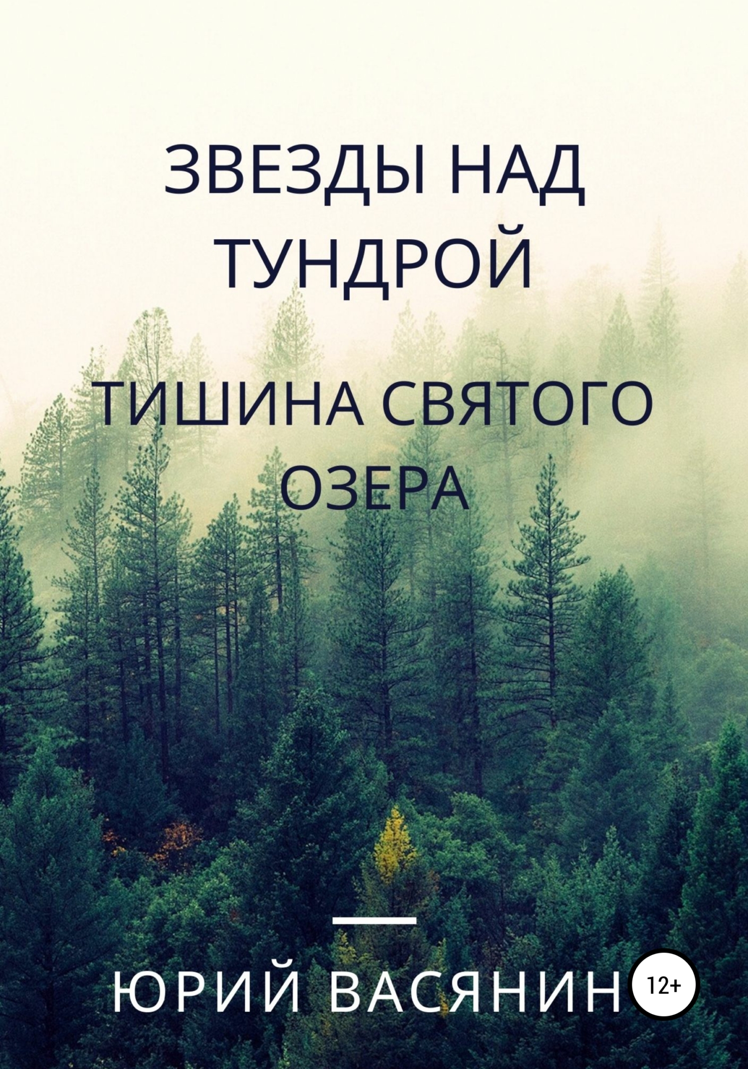 Читать онлайн «Звезды над тундрой. Тишина Святого озера», Юрий Павлович  Васянин – ЛитРес