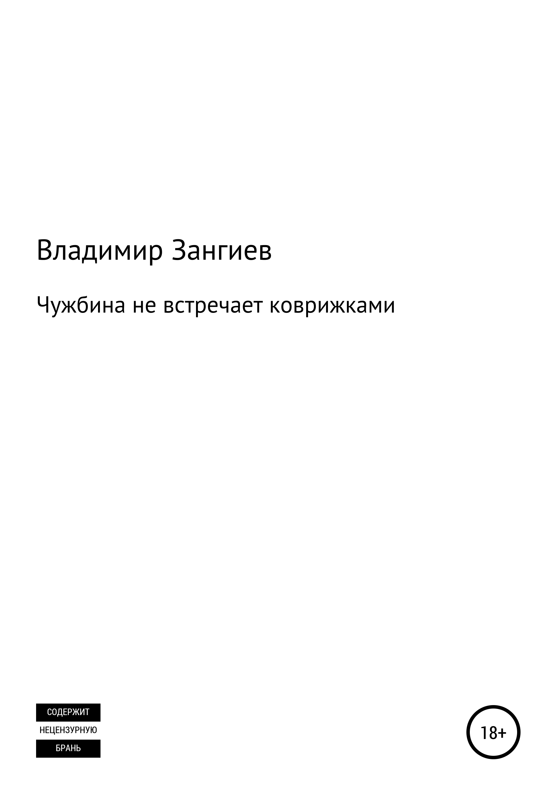 Читать онлайн «Чужбина не встречает коврижками», Владимир Александрович  Зангиев – ЛитРес, страница 3