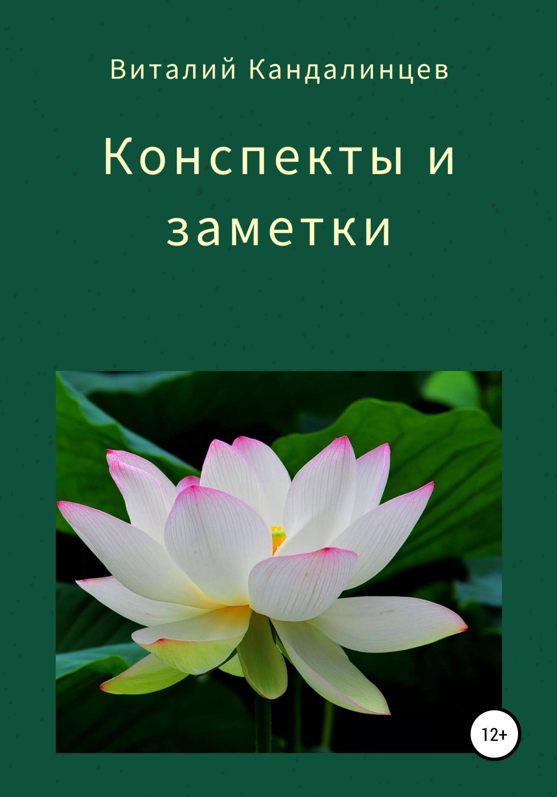 Читать онлайн «Конспекты и заметки», Виталий Геннадьевич Кандалинцев –  ЛитРес, страница 4