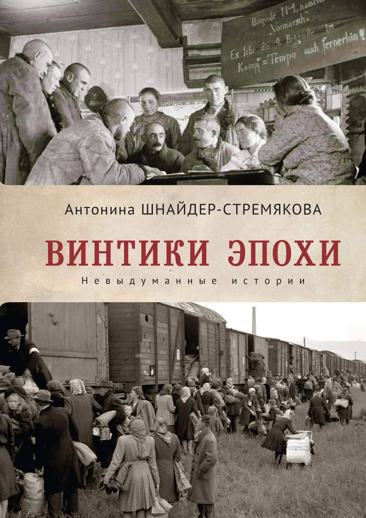 Читать онлайн «Винтики эпохи. Невыдуманные истории», Антонина  Шнайдер-Стремякова – ЛитРес, страница 4