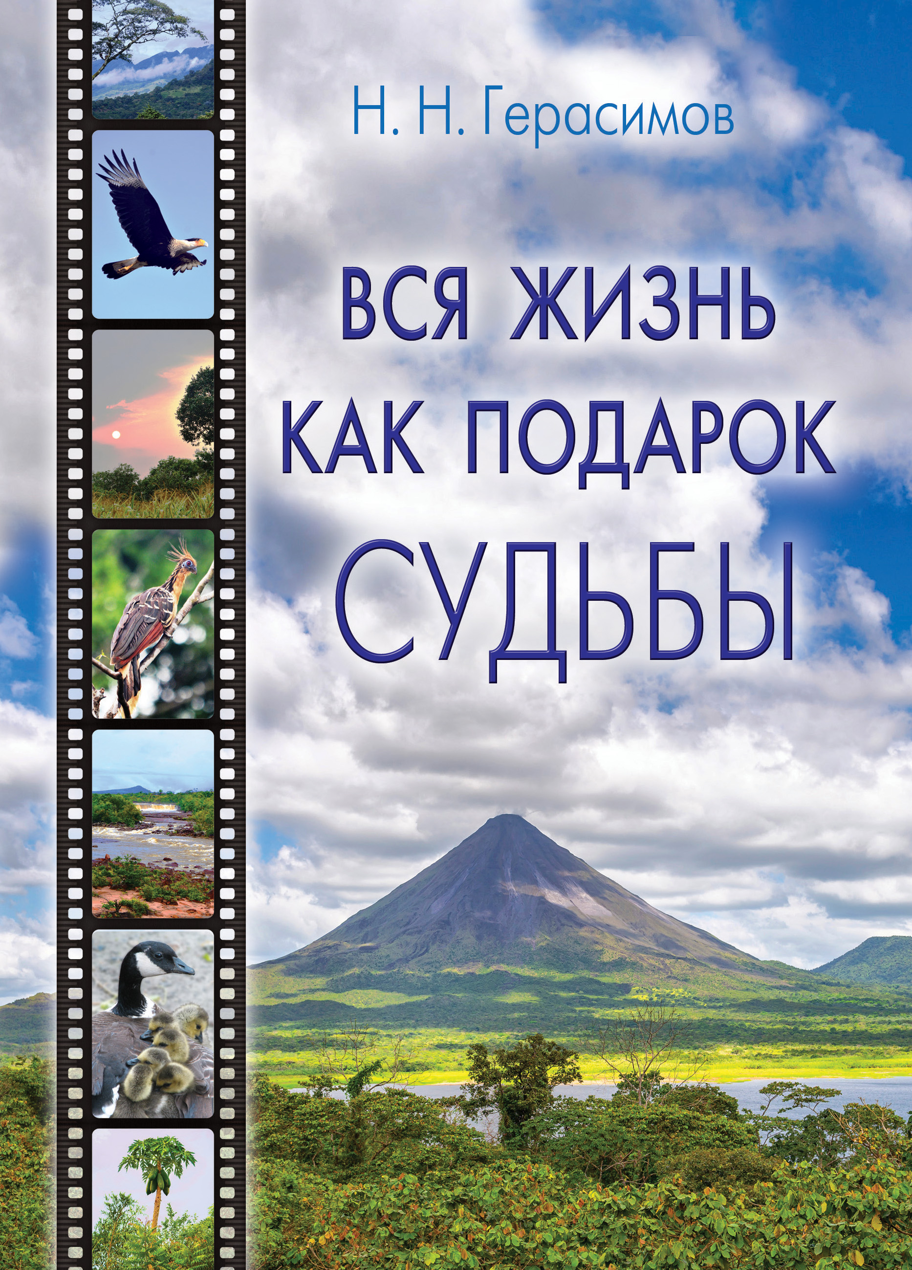 Читать онлайн «Вся жизнь как подарок судьбы», Николай Герасимов – ЛитРес