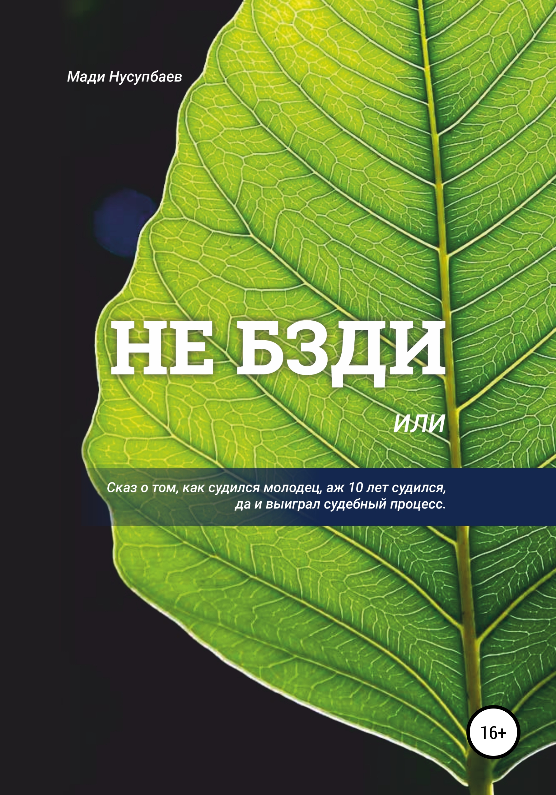 Читать онлайн «Не бзди, или Сказ о том, как судился молодец, аж 10 лет  судился, да и выиграл судебный процесс», Мади Нусупбаев – ЛитРес